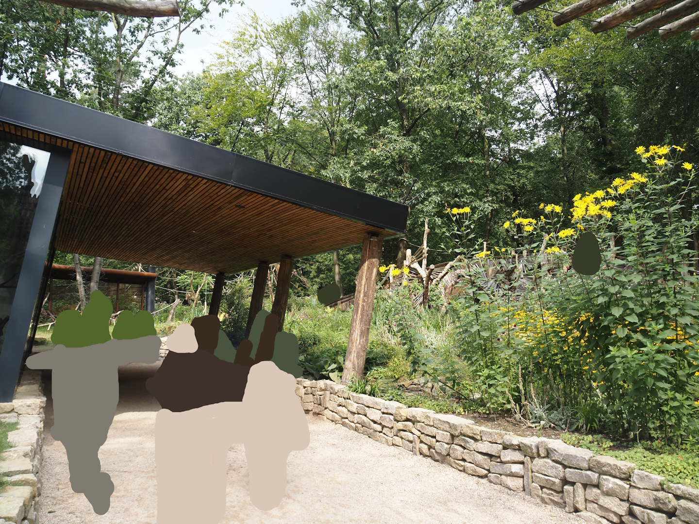 African forest walk-through area with Gabon talapoin and King colobus - Walkway with indoor viewing area, 2024-08-18