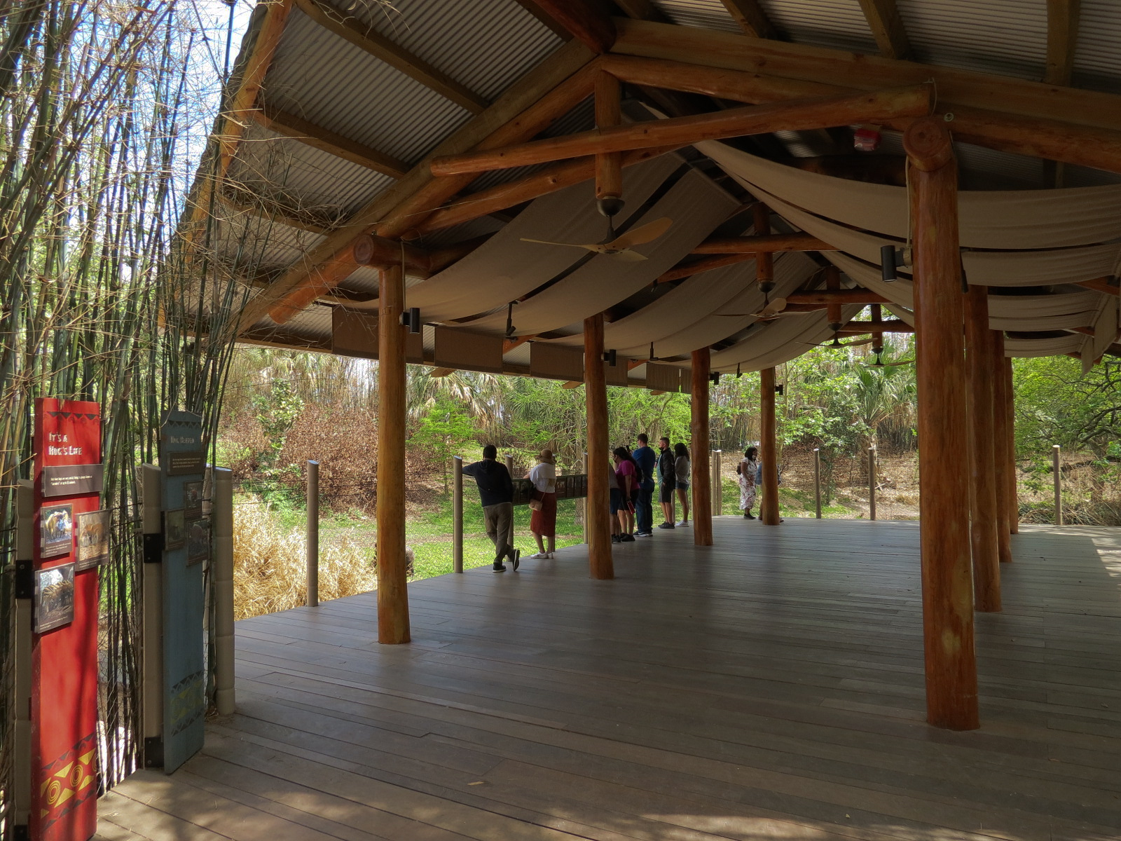 African Forest - Western Lowland Gorilla Exhibit - Viewing Shelter
