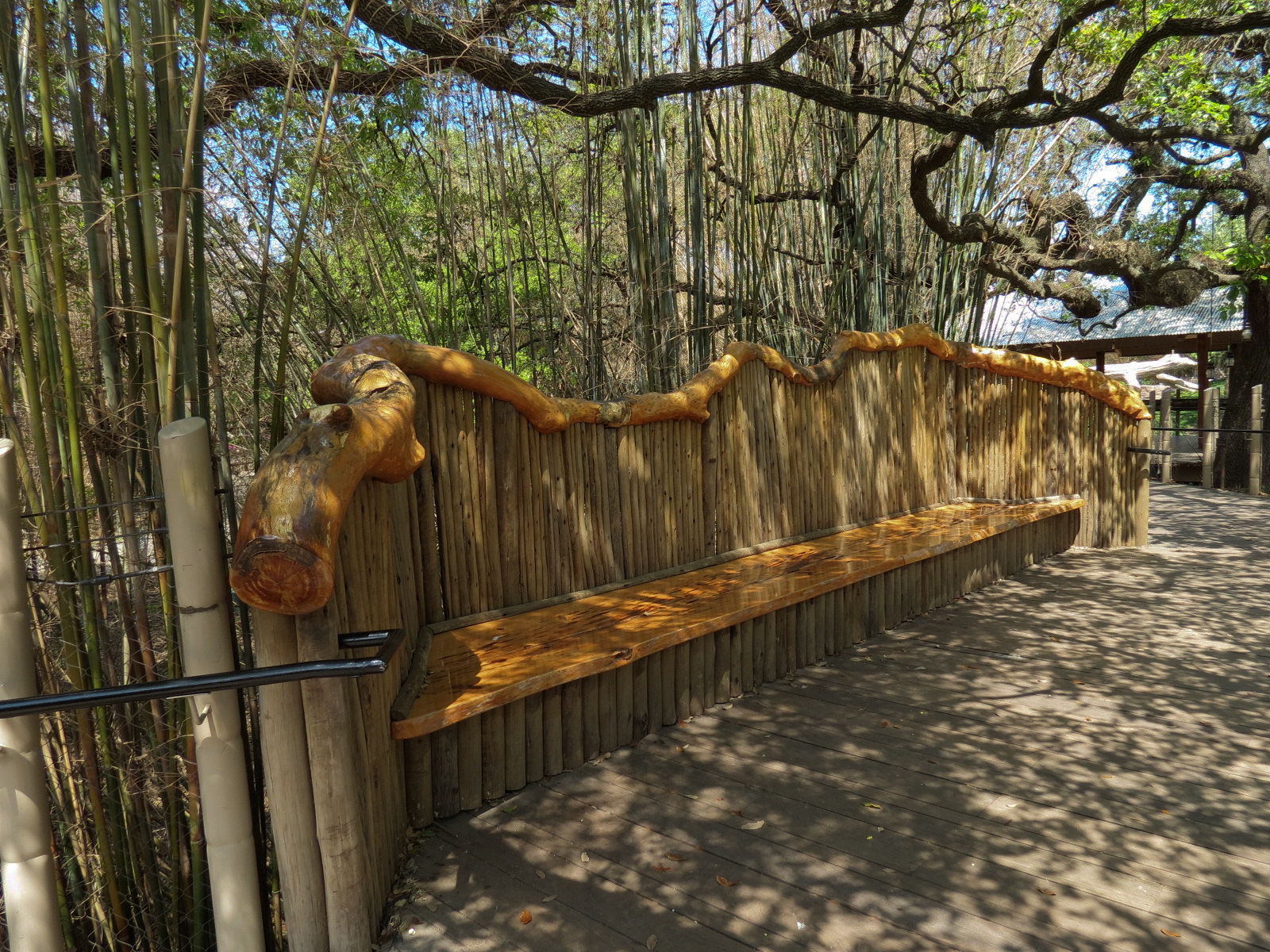 African Forest - Western Lowland Gorilla Exhibit - Visitor Path Bench