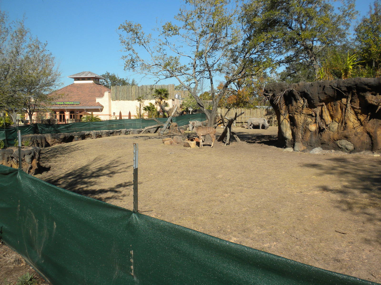 African Forest - White Rhino and Kudu
