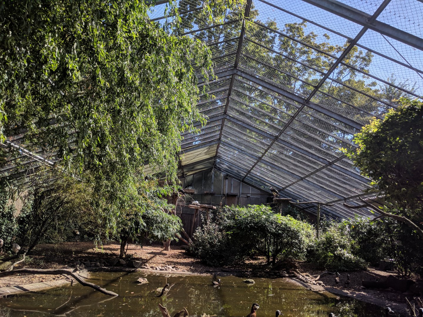 African free Flight Hall