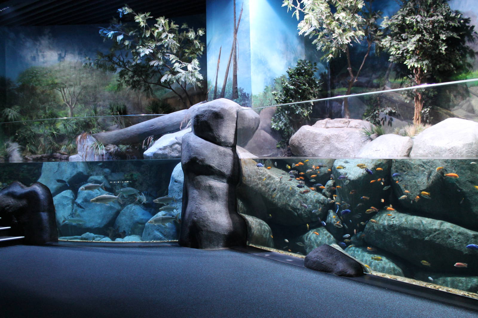 African freshwater tanks