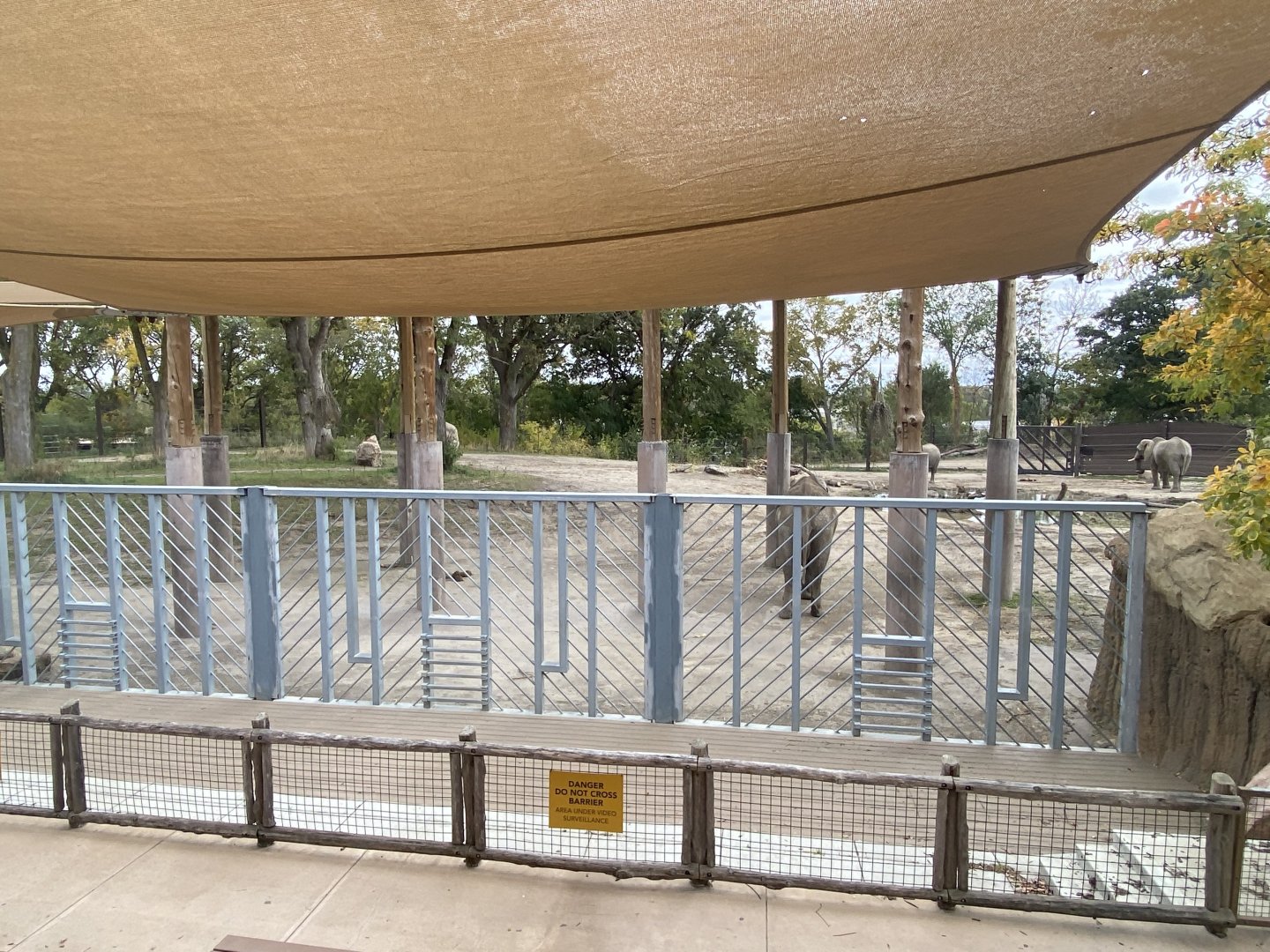 African Grasslands - African Bush Elephant Amphitheater
