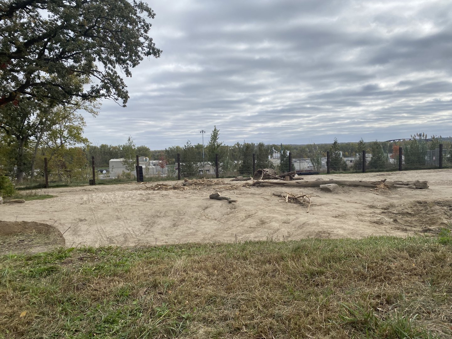 African Grasslands - African Bush Elephant Exhibit