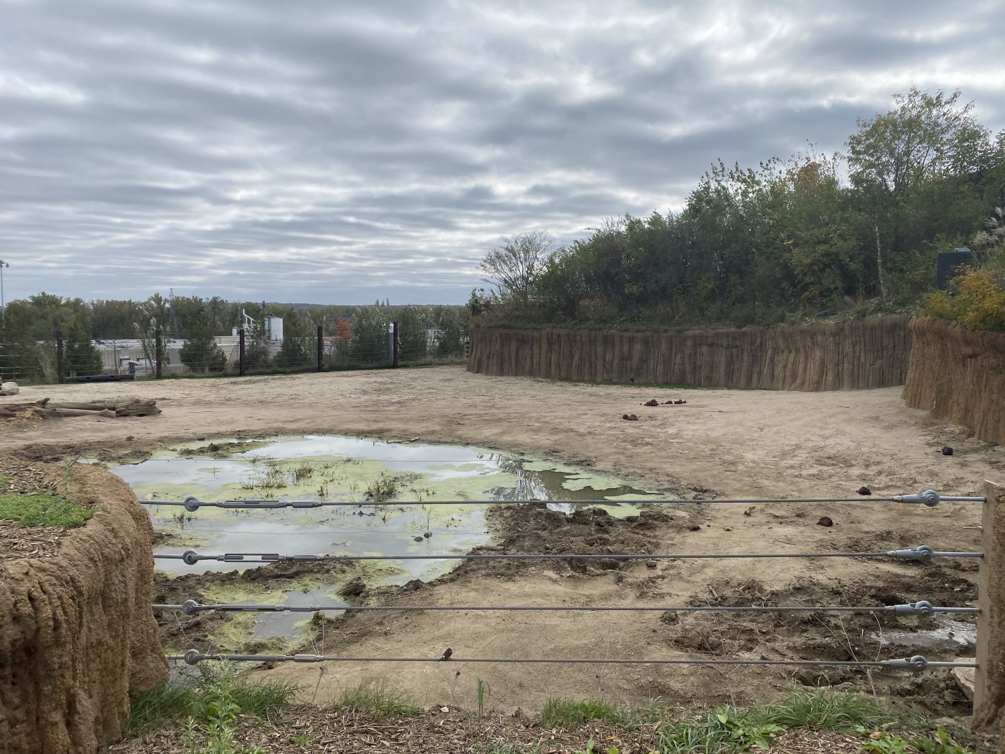 African Grasslands - African Bush Elephant Exhibit