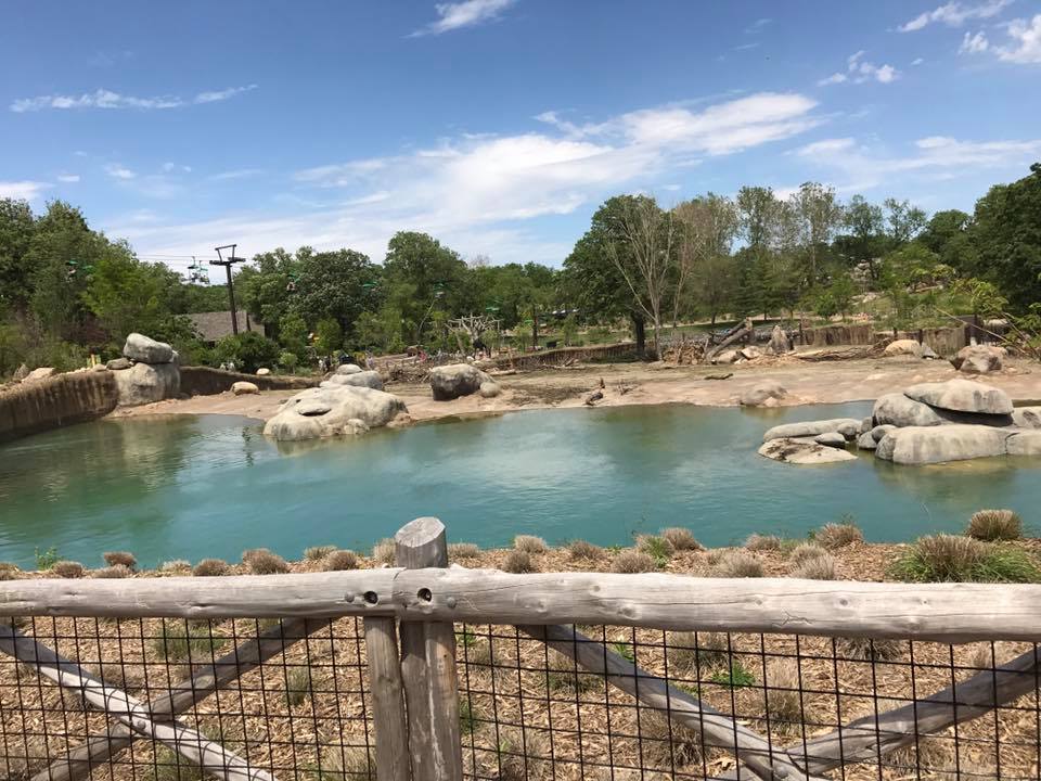 African Grasslands- African Elephant, Grant's Zebra, Impala, Ostrich
