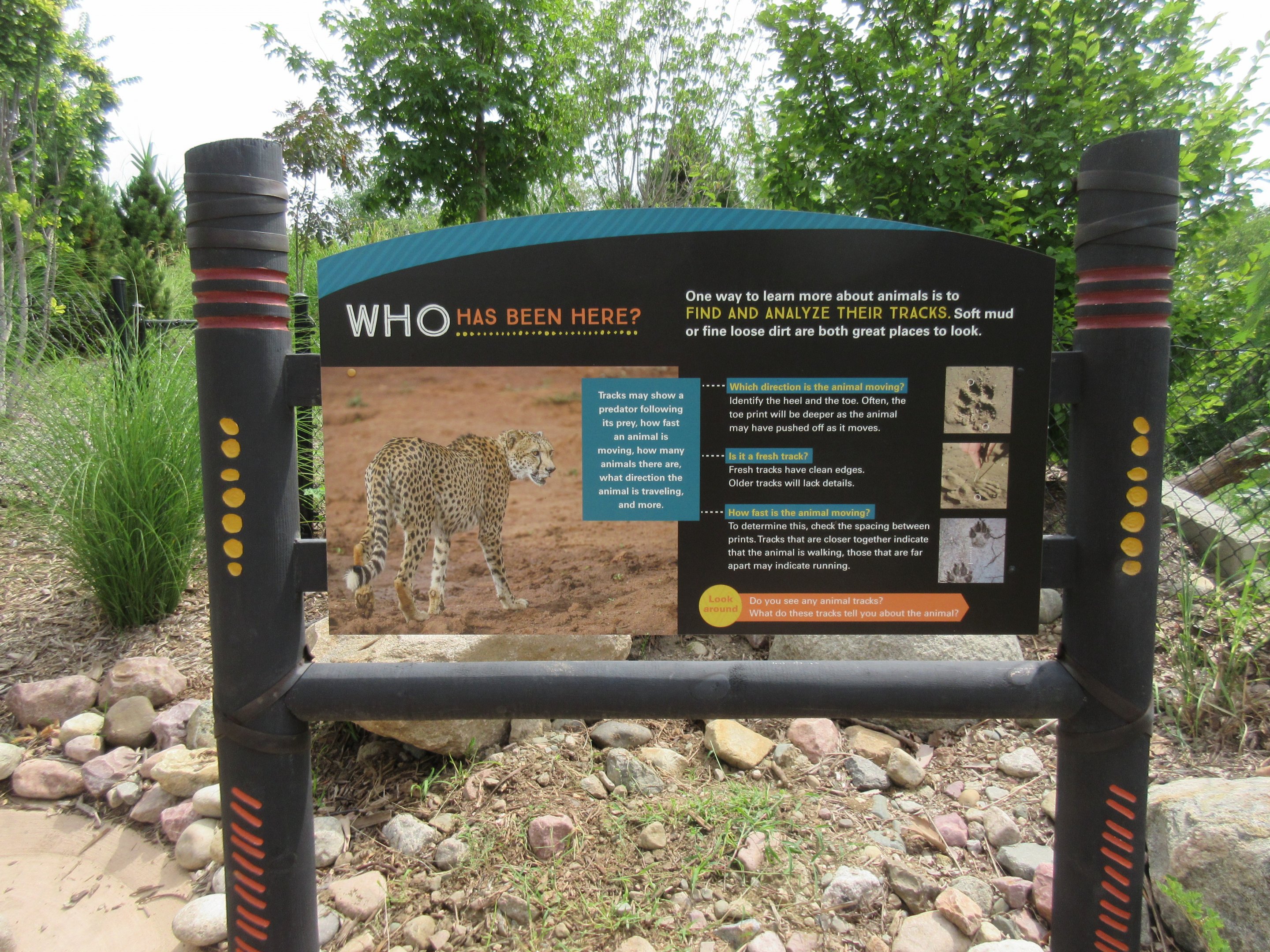 African Grasslands - Cheetah Exhibit Sign