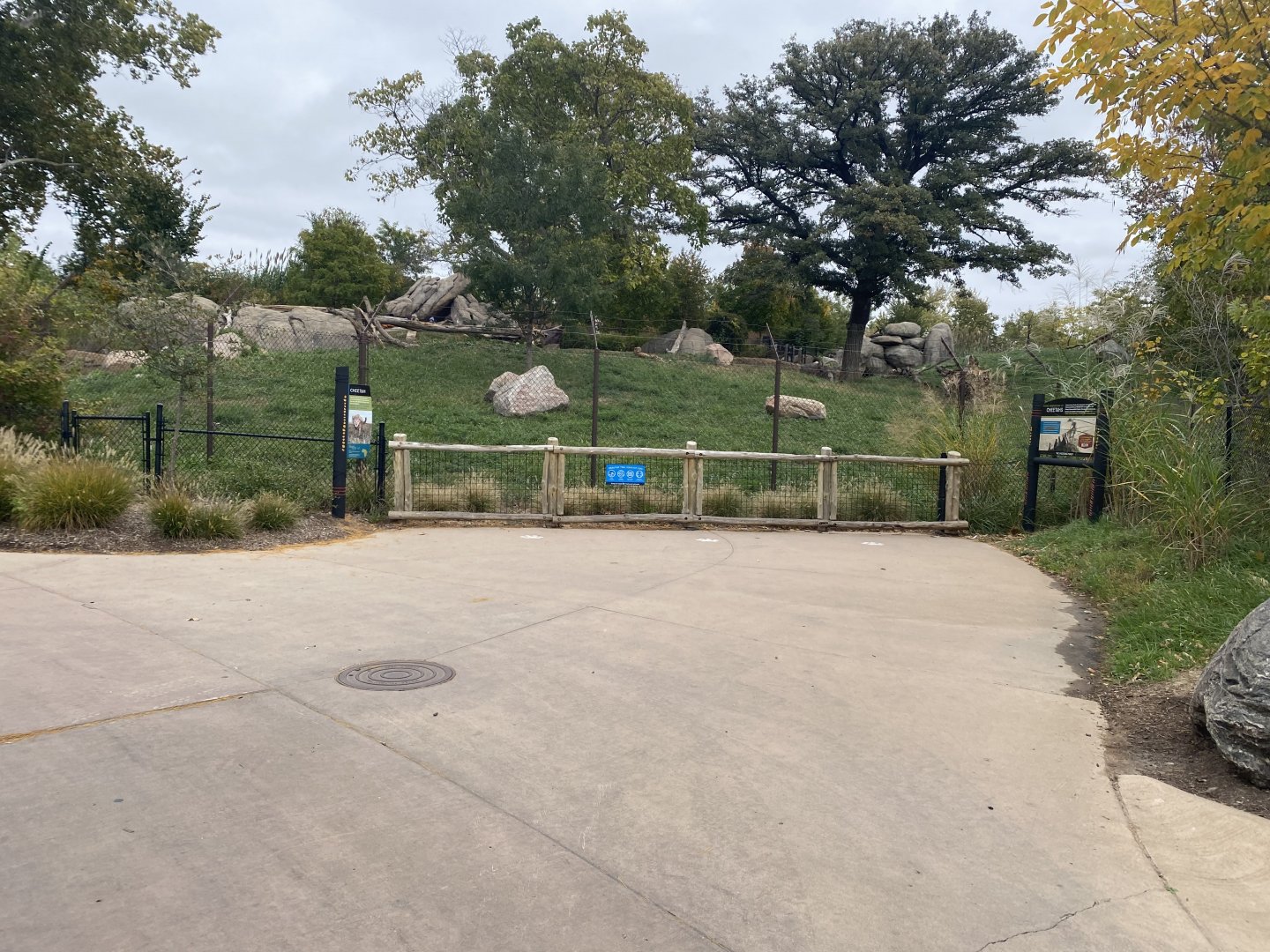 African Grasslands - Cheetah Exhibit