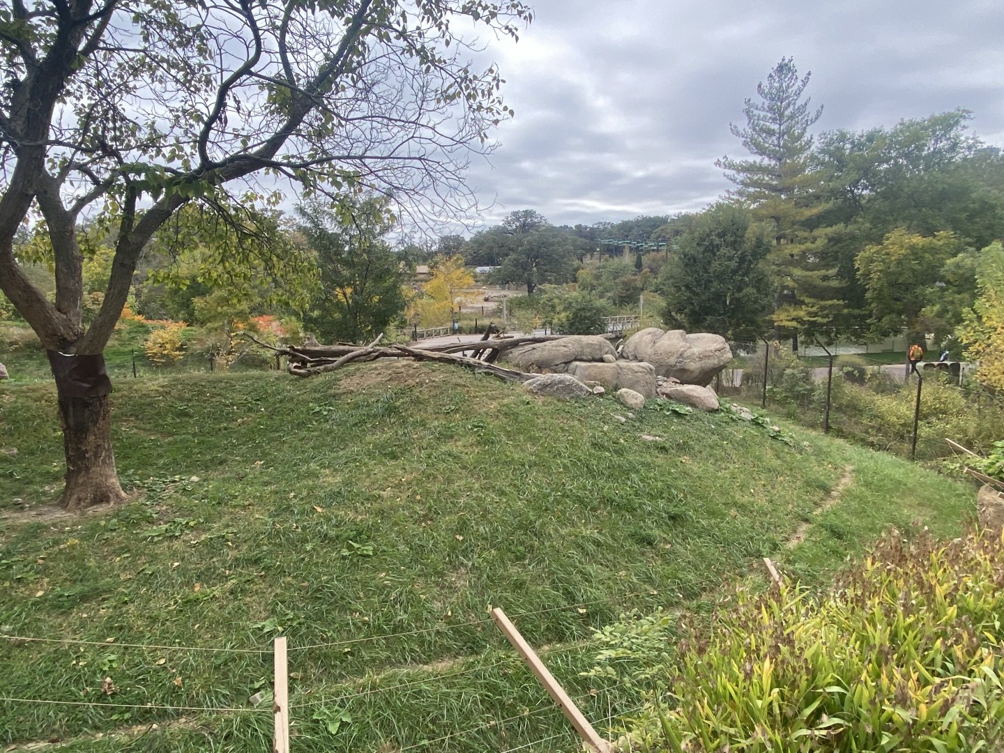 African Grasslands - Cheetah Exhibit