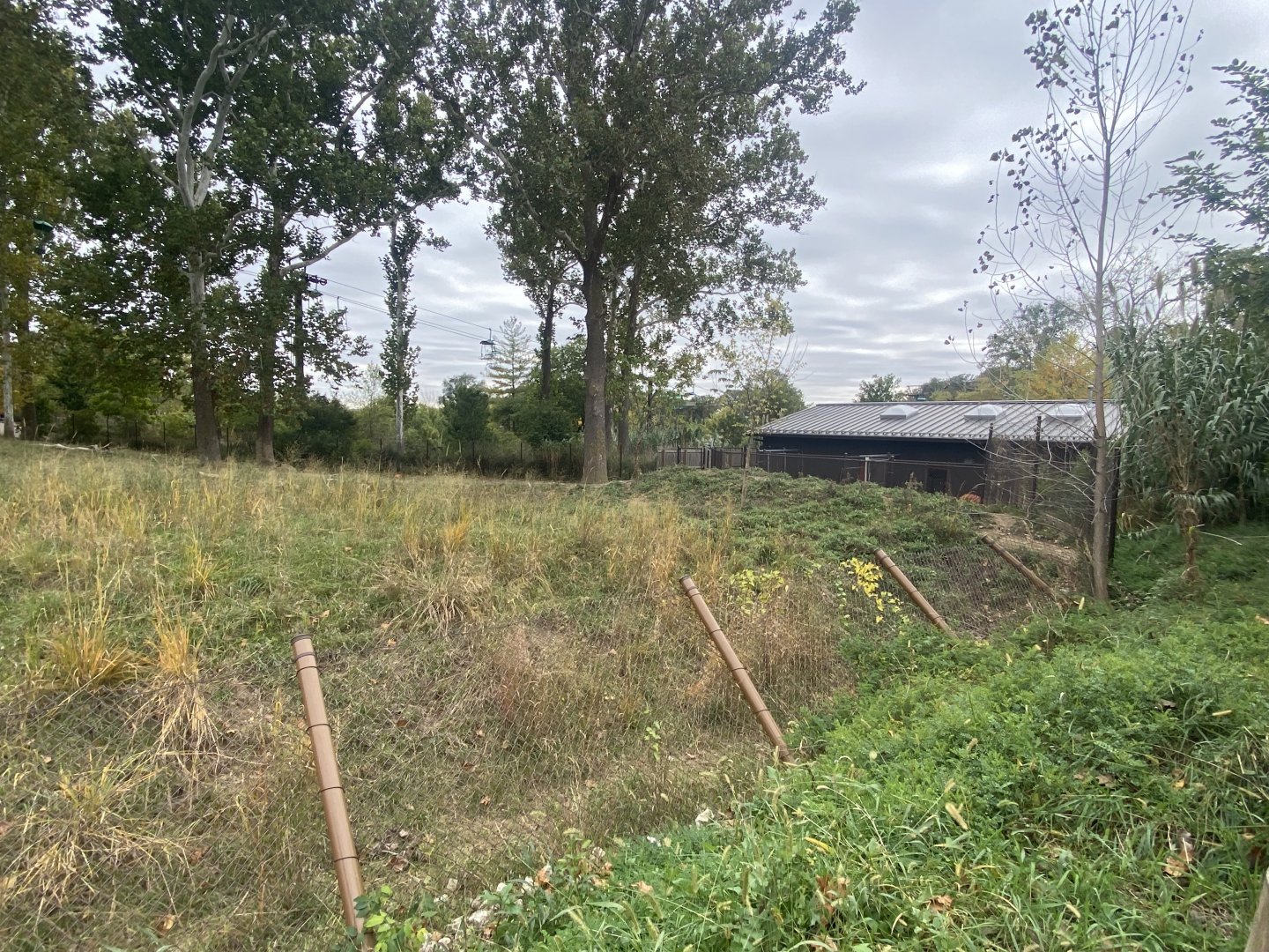 African Grasslands - Eastern Bongo/Blue Crane Exhibit