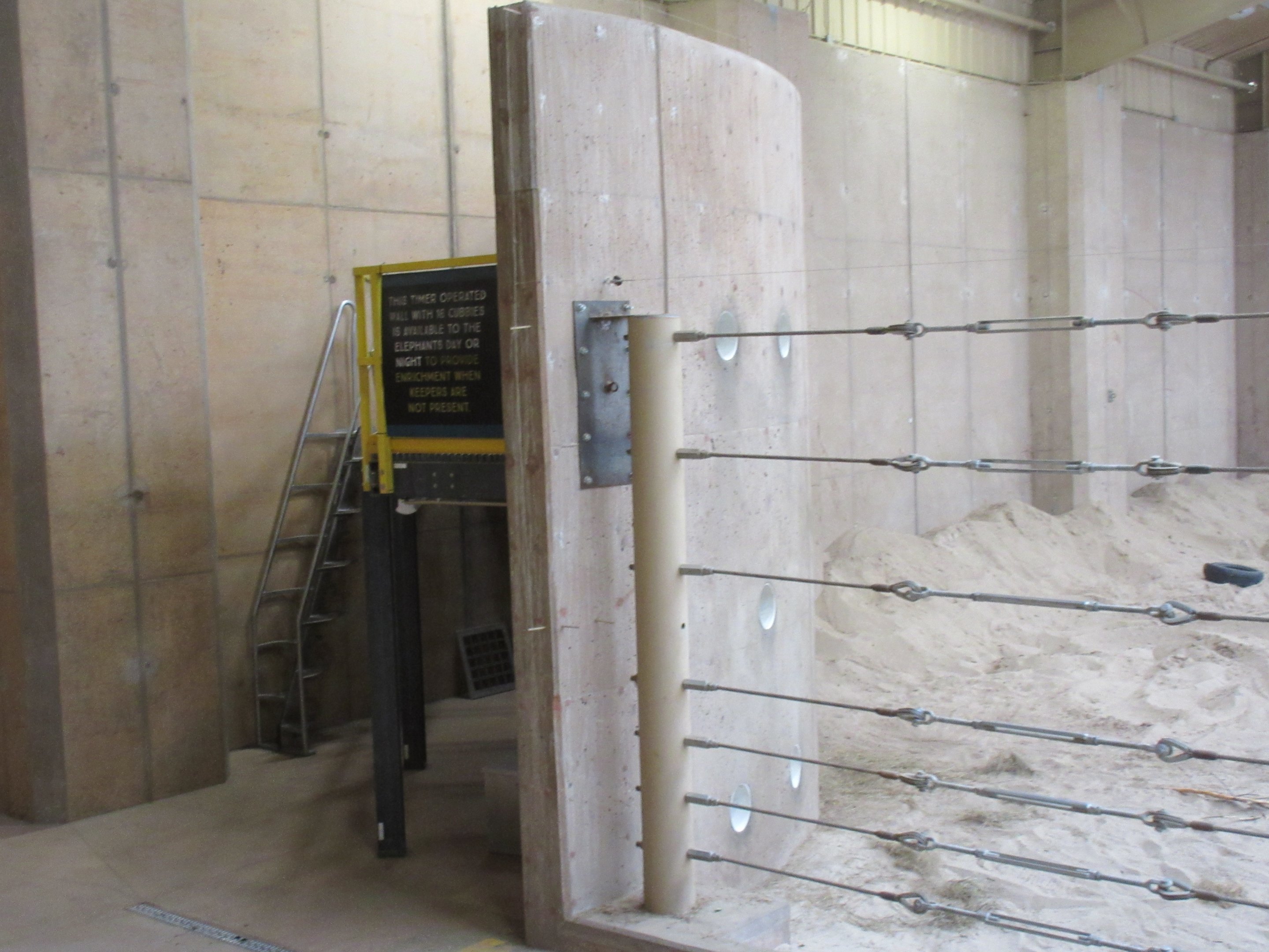 African Grasslands - Elephant Barn Enrichment Wall