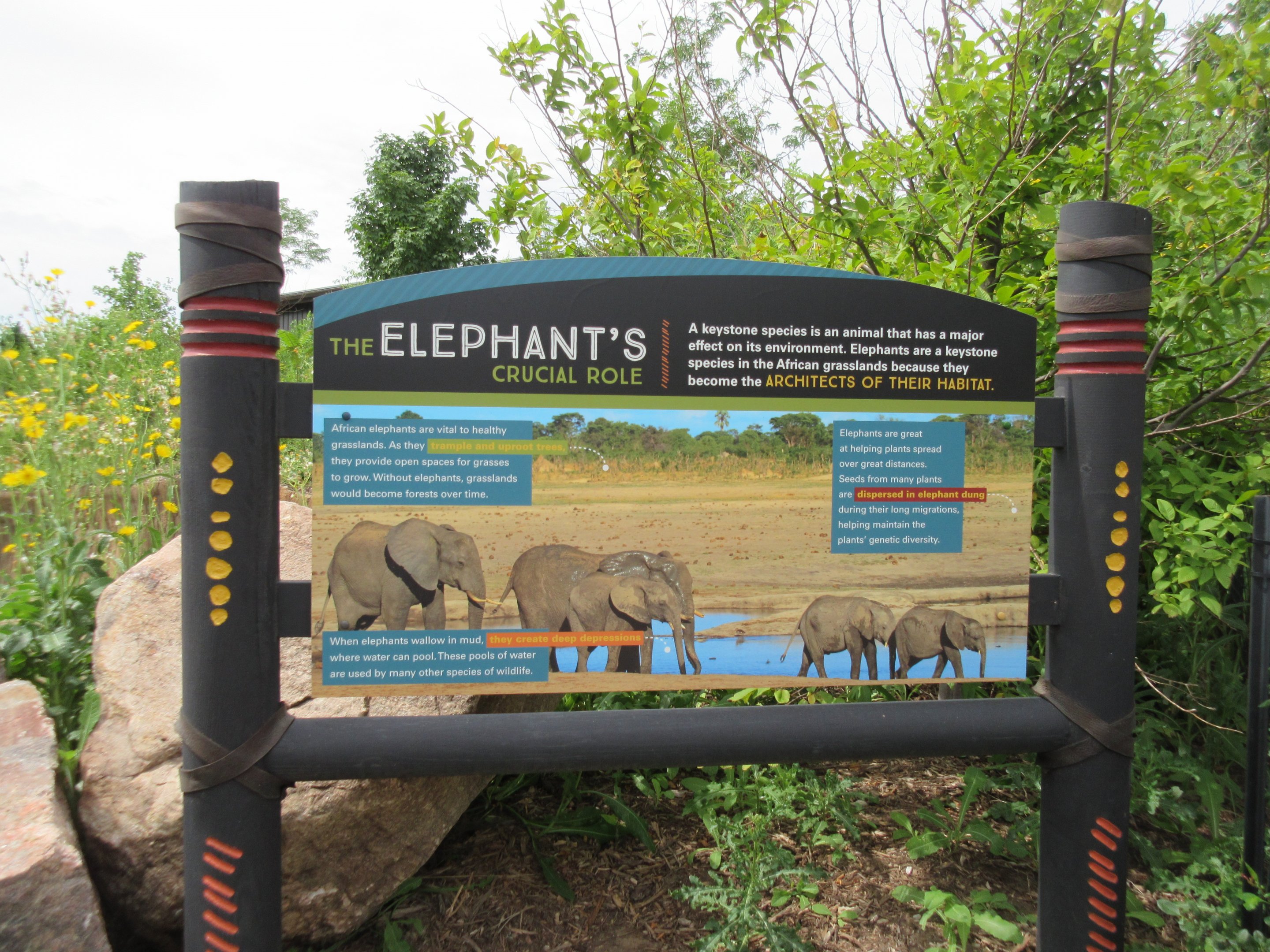 African Grasslands - Elephant Exhibit Sign