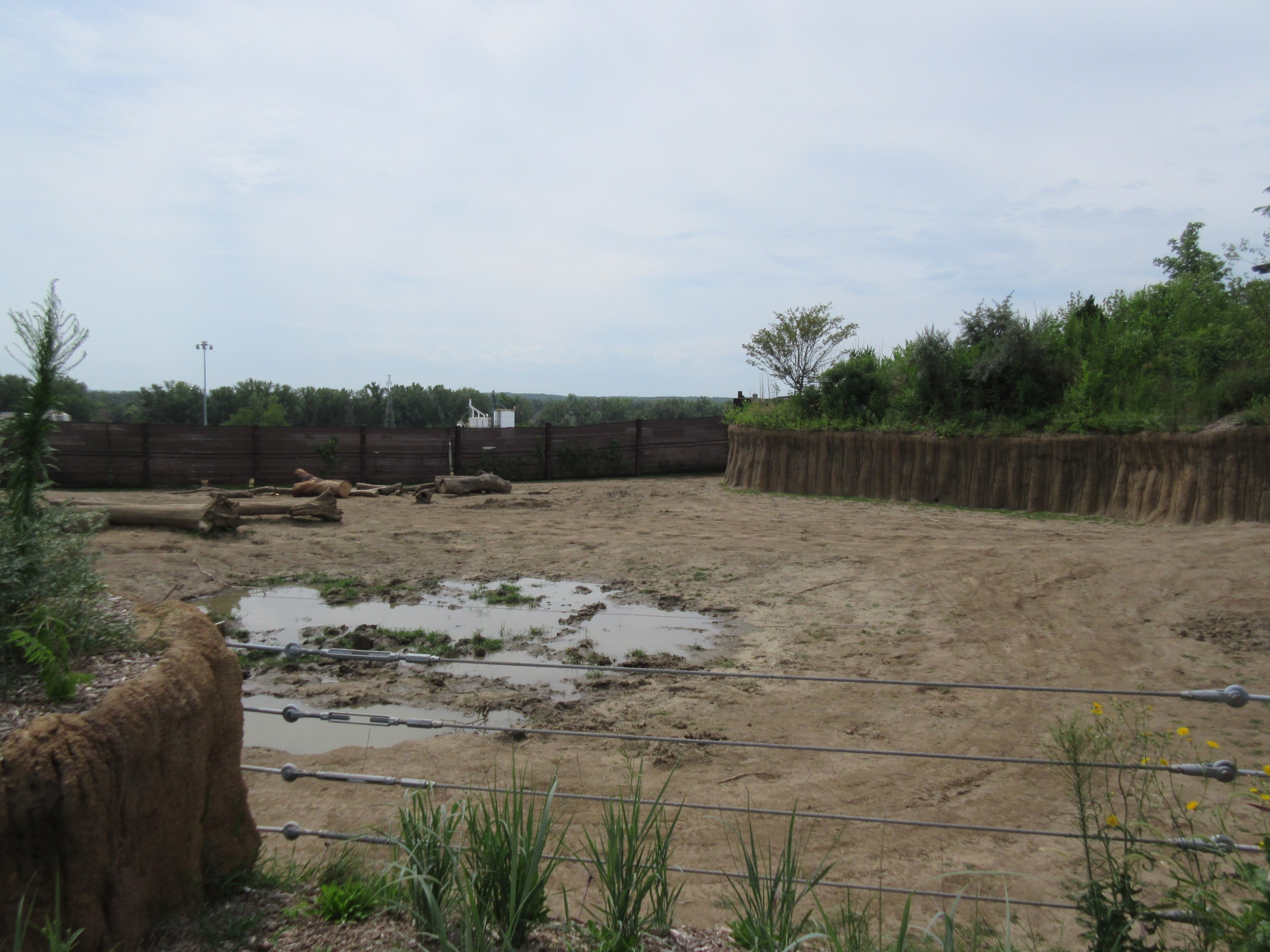 African Grasslands - Elephant Exhibit