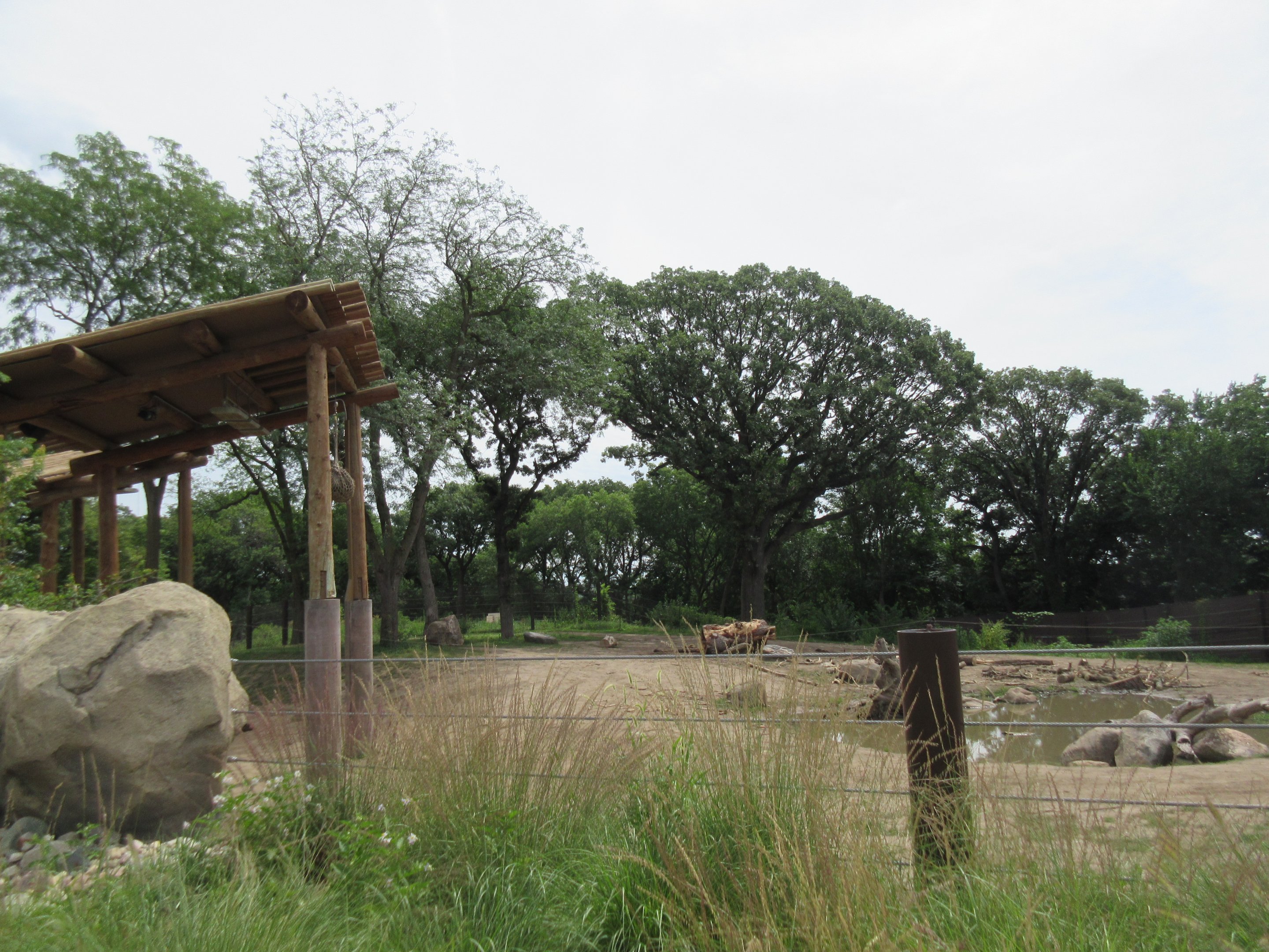 African Grasslands - Elephant Exhibit