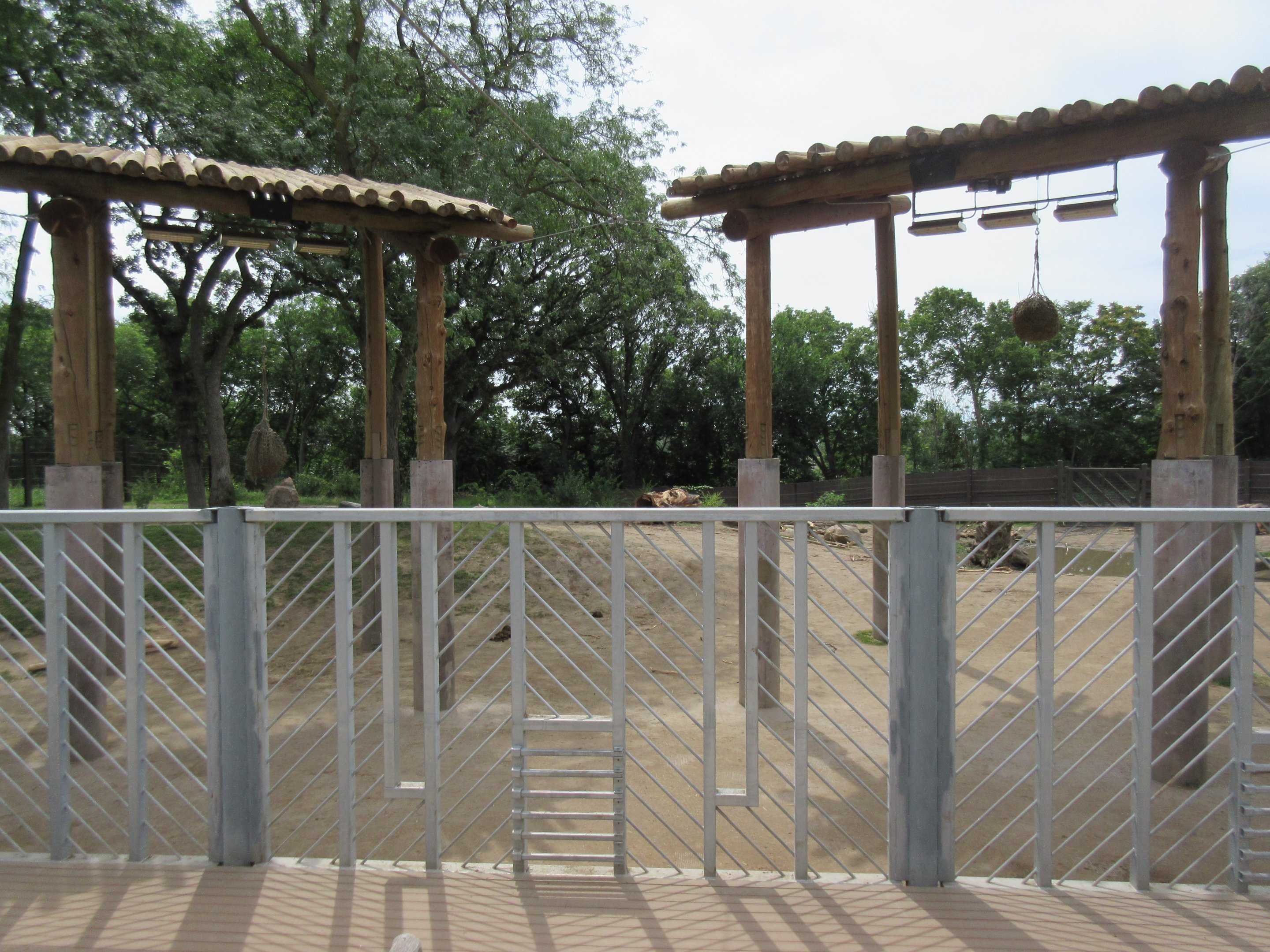 African Grasslands - Elephant Exhibit