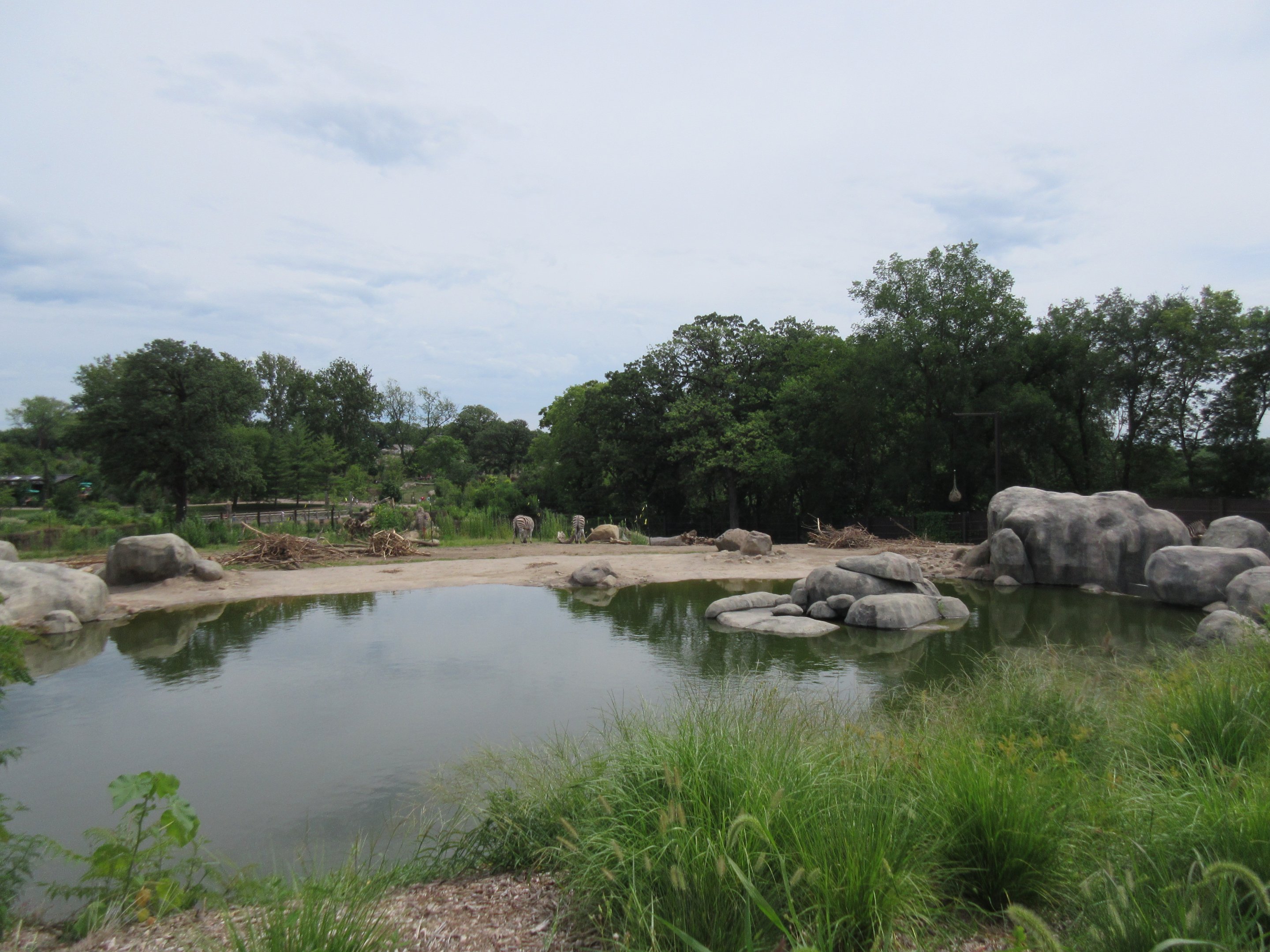 African Grasslands - Elephant Exhibit