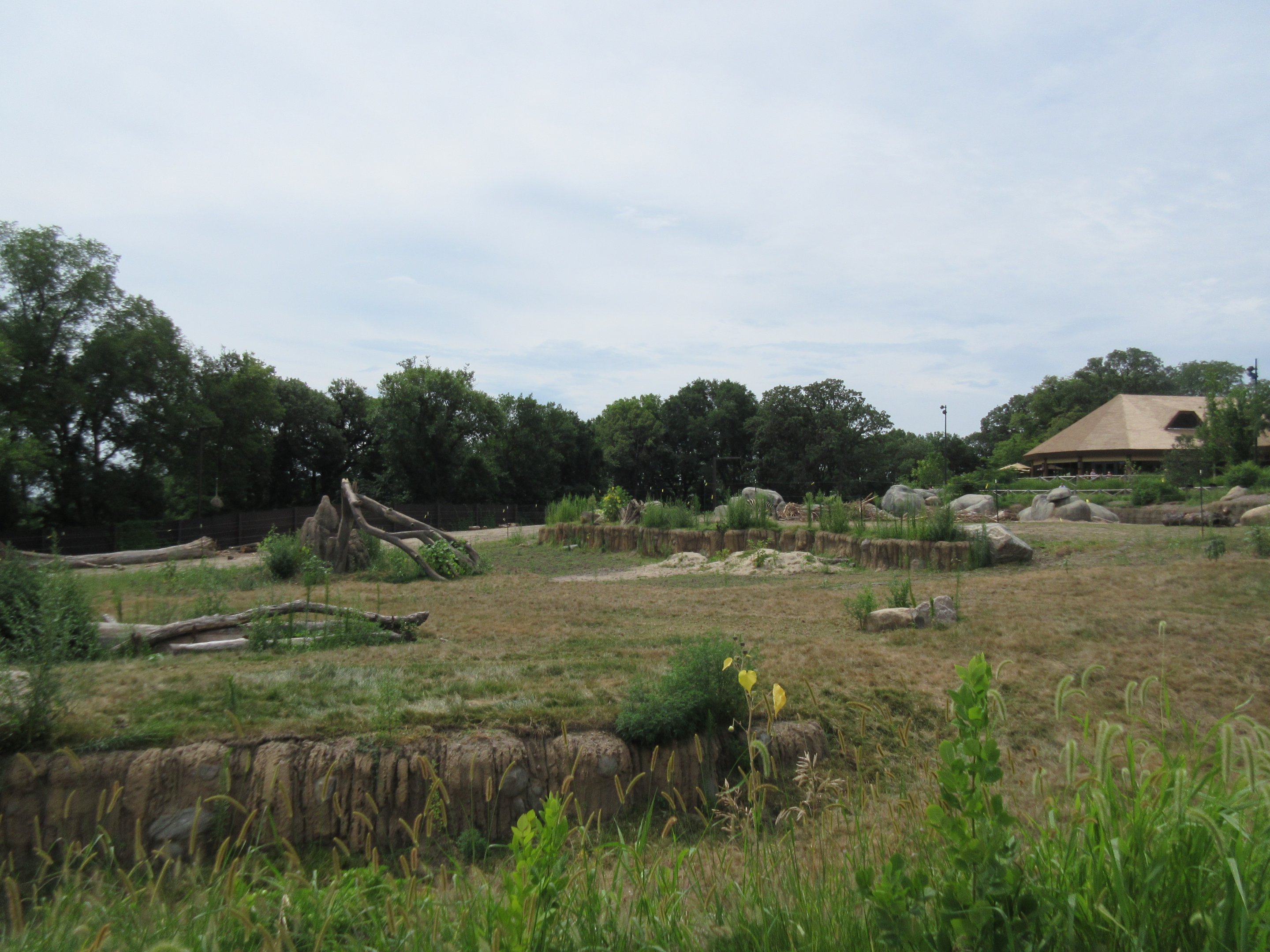 African Grasslands - Elephant Exhibit