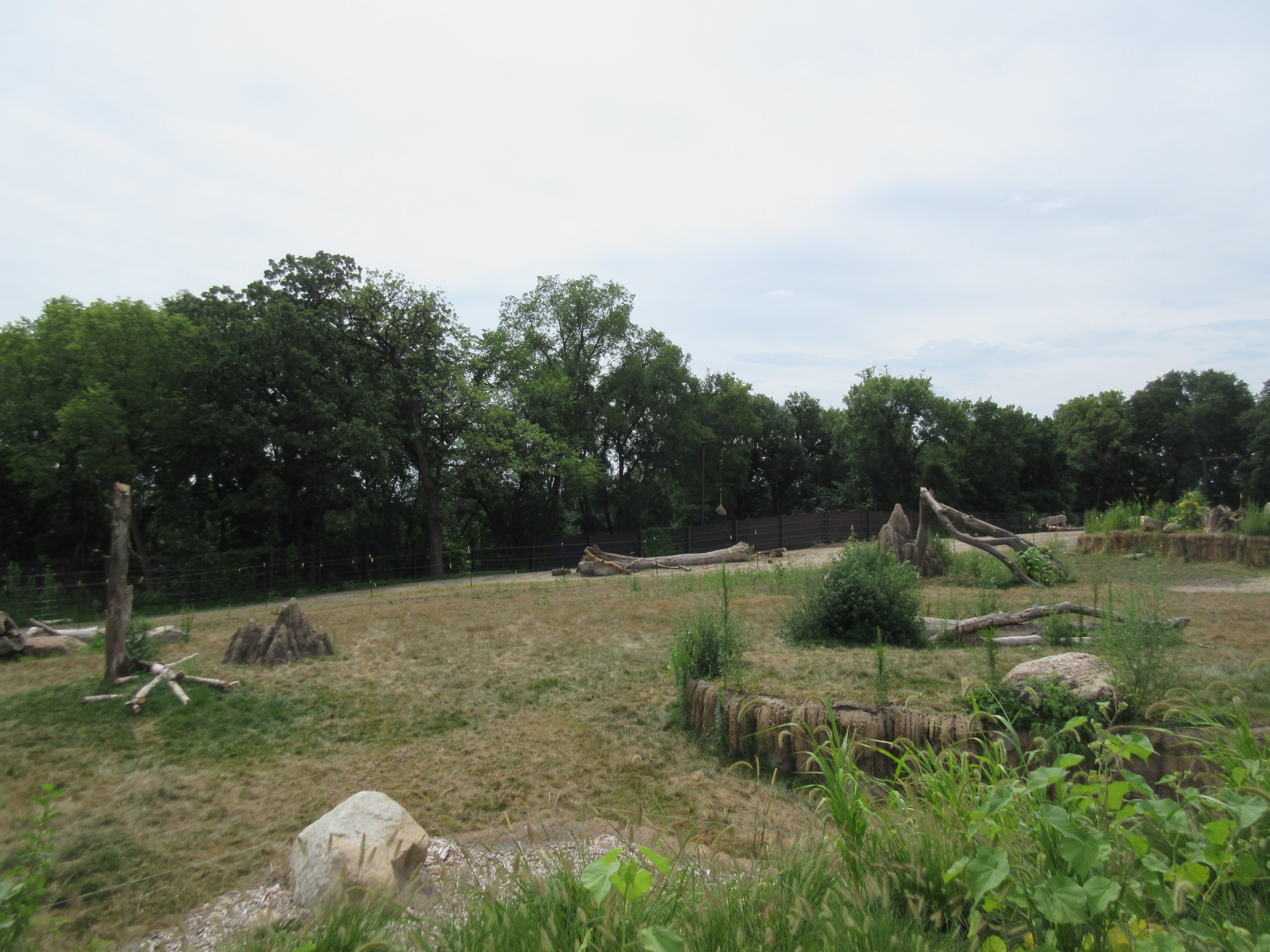 African Grasslands - Elephant Exhibit