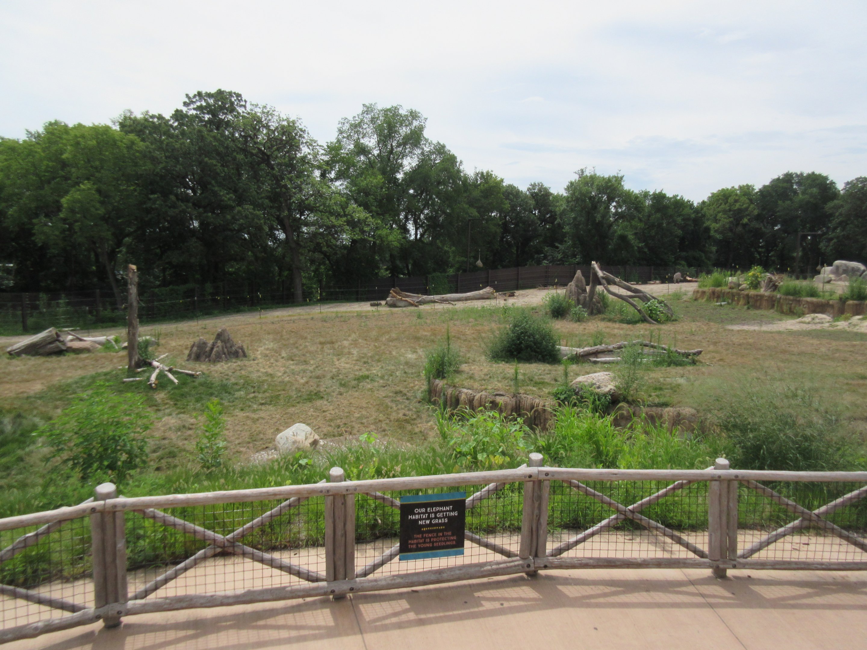 African Grasslands - Elephant Exhibit
