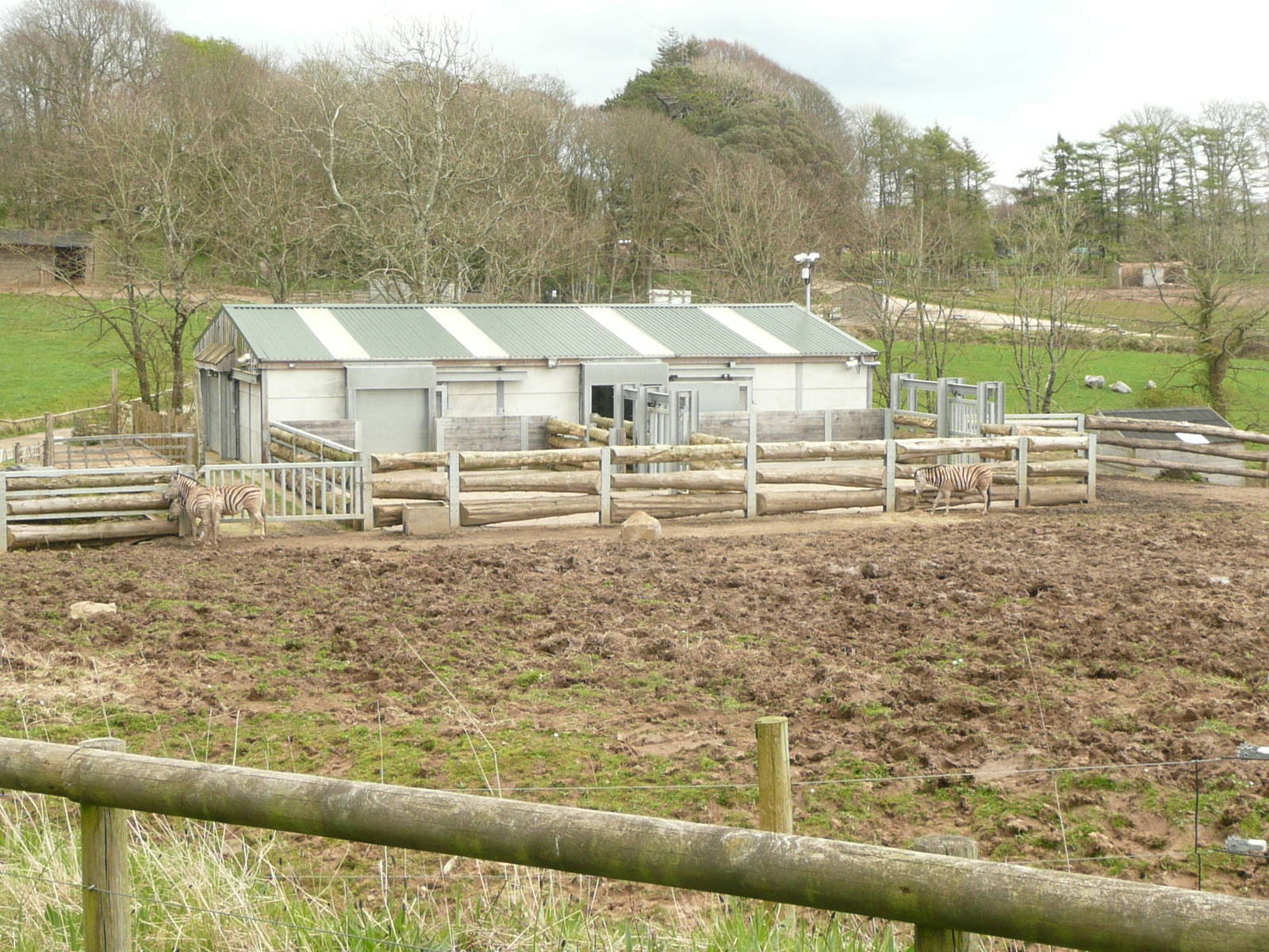 African Grasslands exhibit