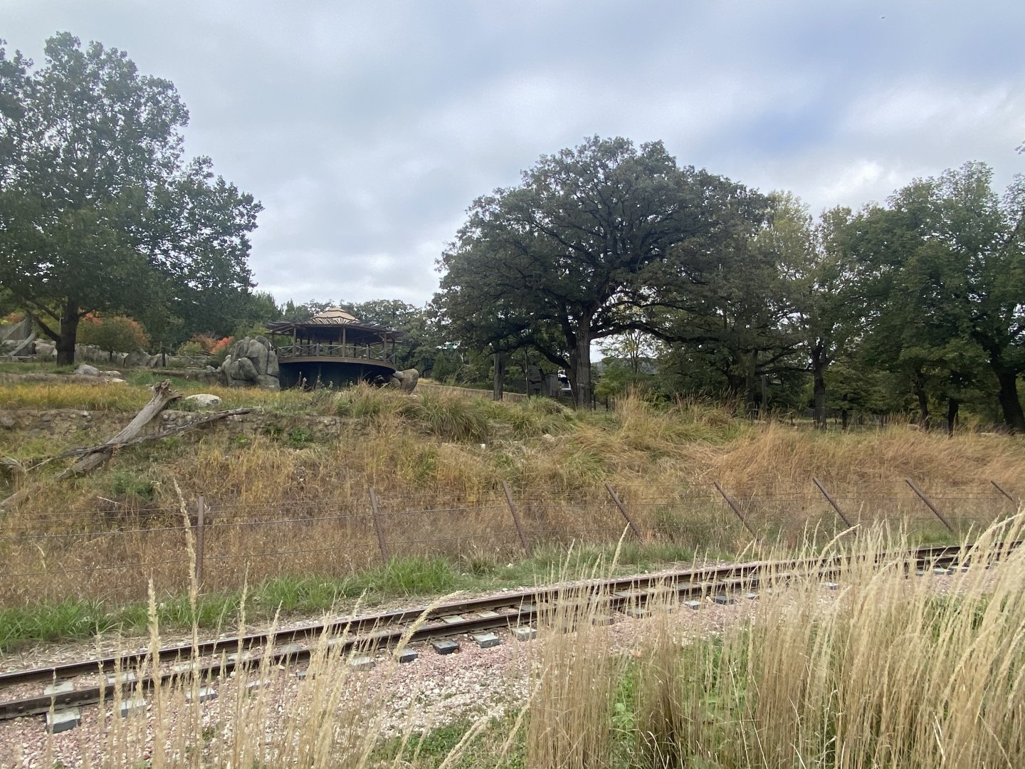 African Grasslands - Giraffe/Impala/Leaser Kudu/Ostrich/White Stork