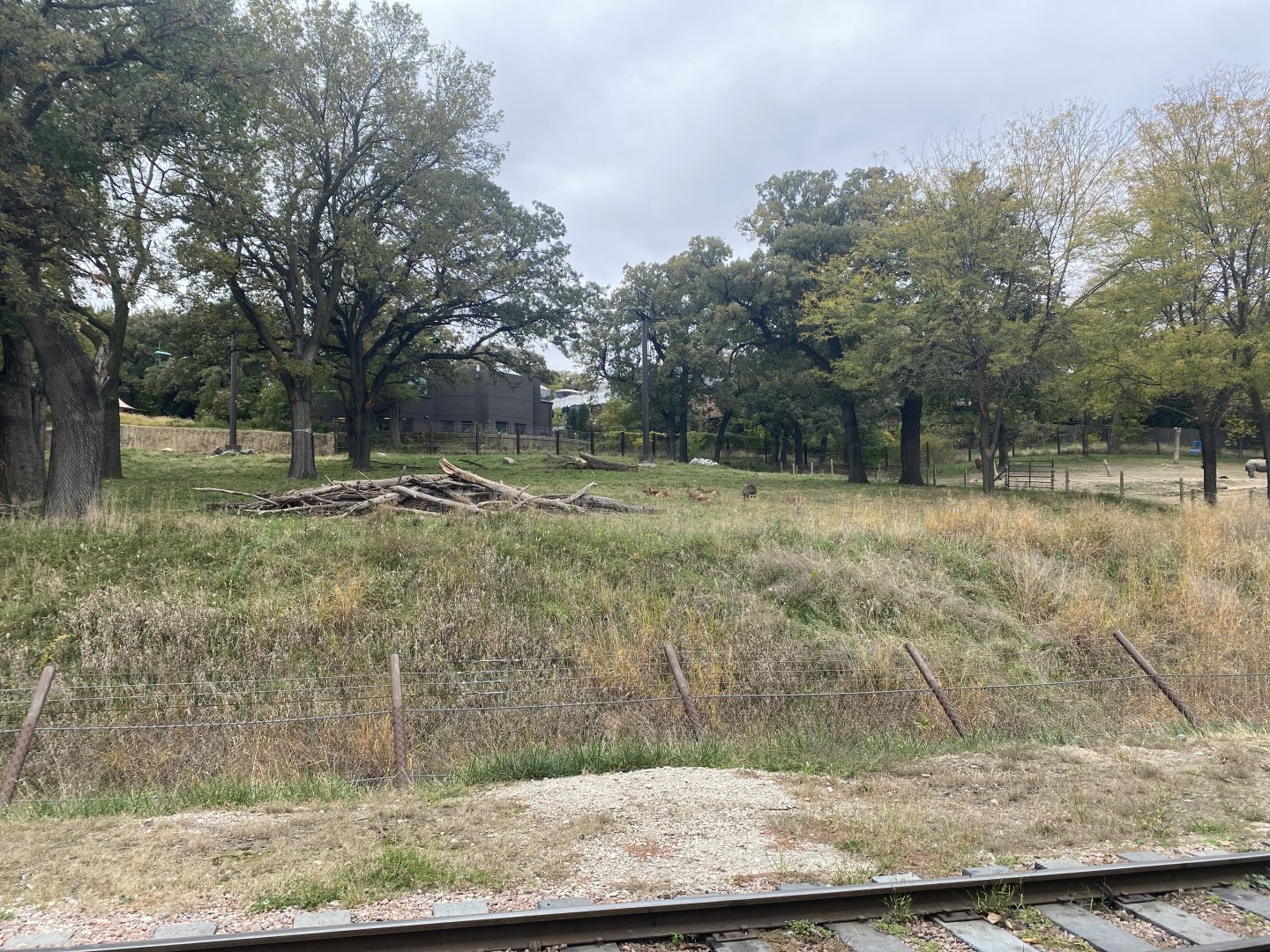 African Grasslands - Giraffe/Impala/Leaser Kudu/Ostrich/White Stork