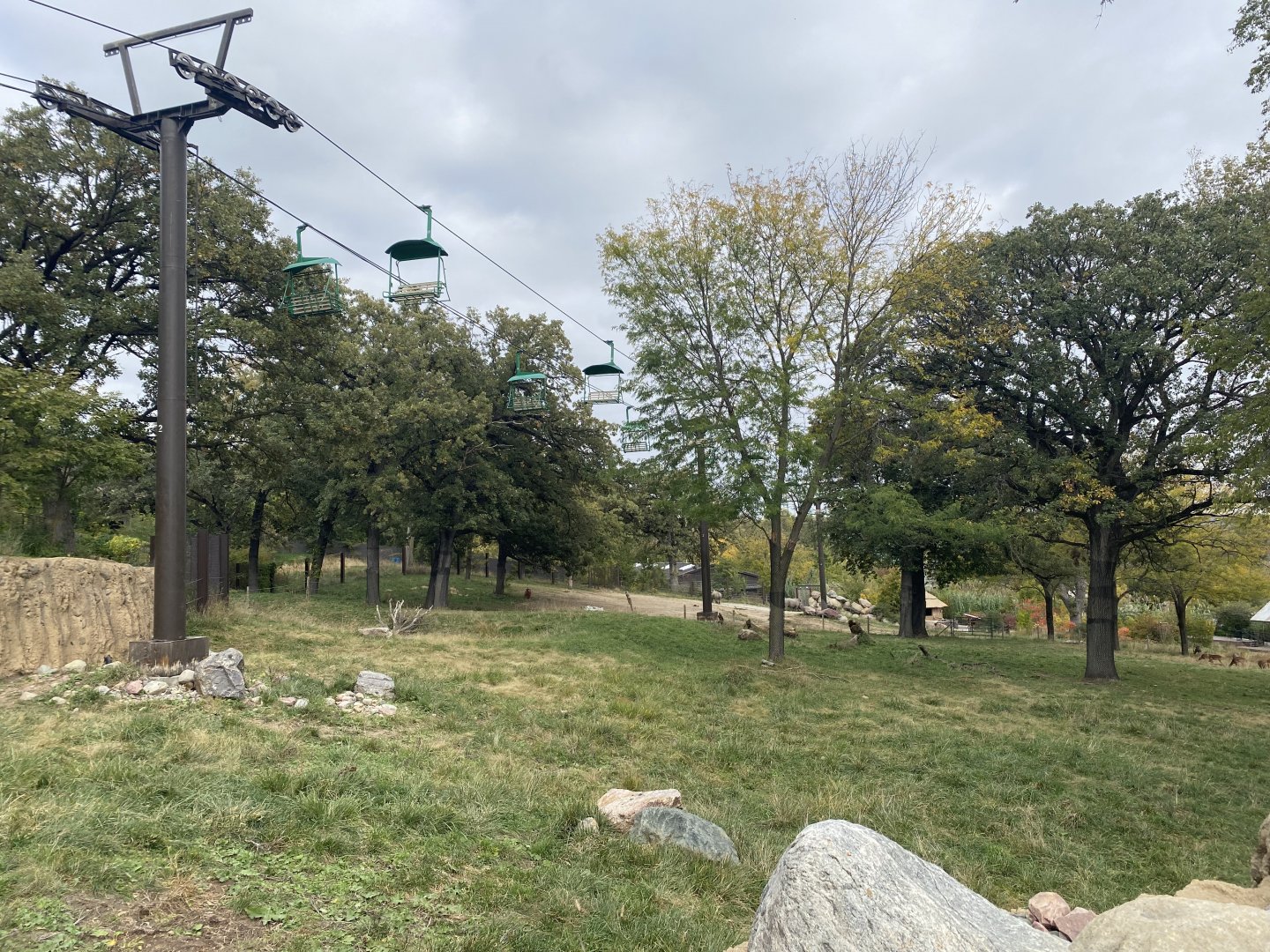 African Grasslands - Giraffe/Impala/Lesser Kudu/Ostrich/White Stork