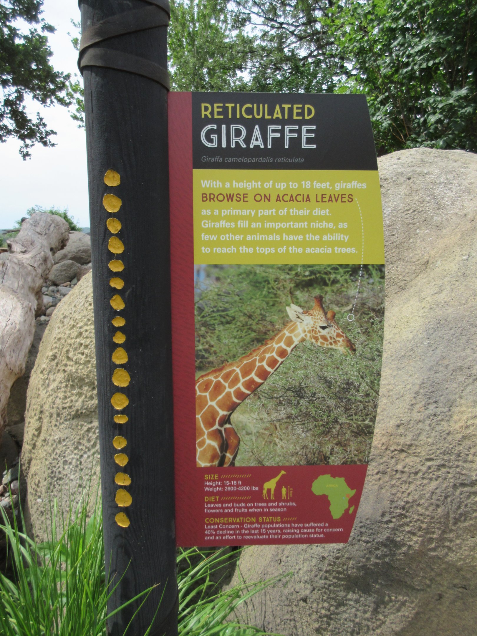 African Grasslands - Giraffe Sign