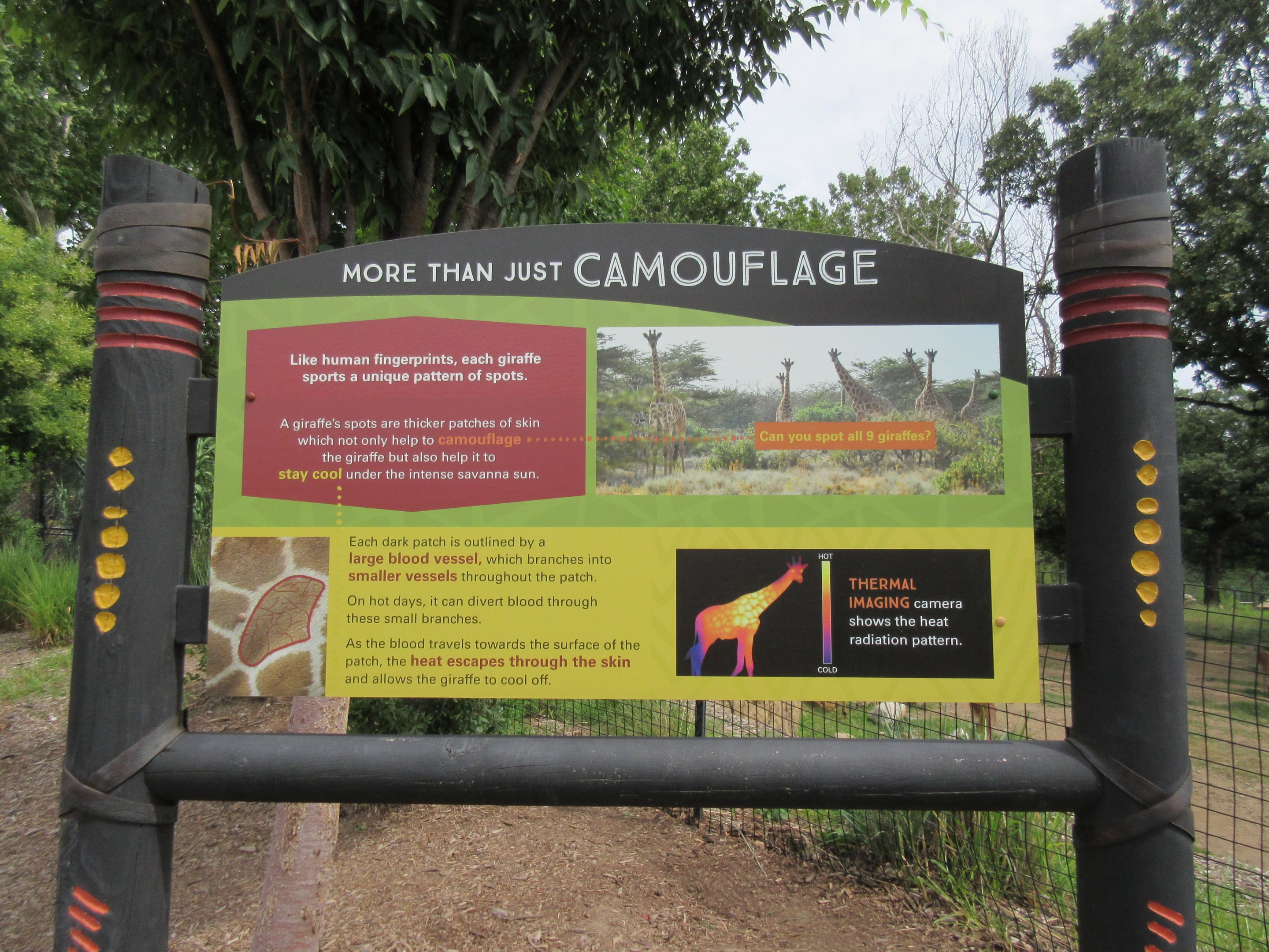 African Grasslands - Giraffe Sign