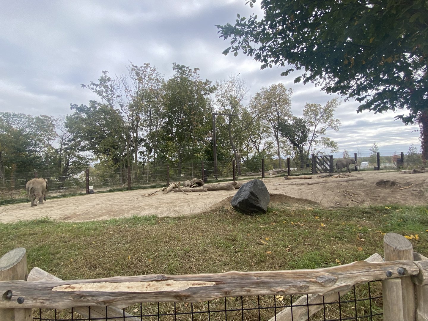 African Grasslands - Grant’s Zebra/African Bush Elephant Exhibit