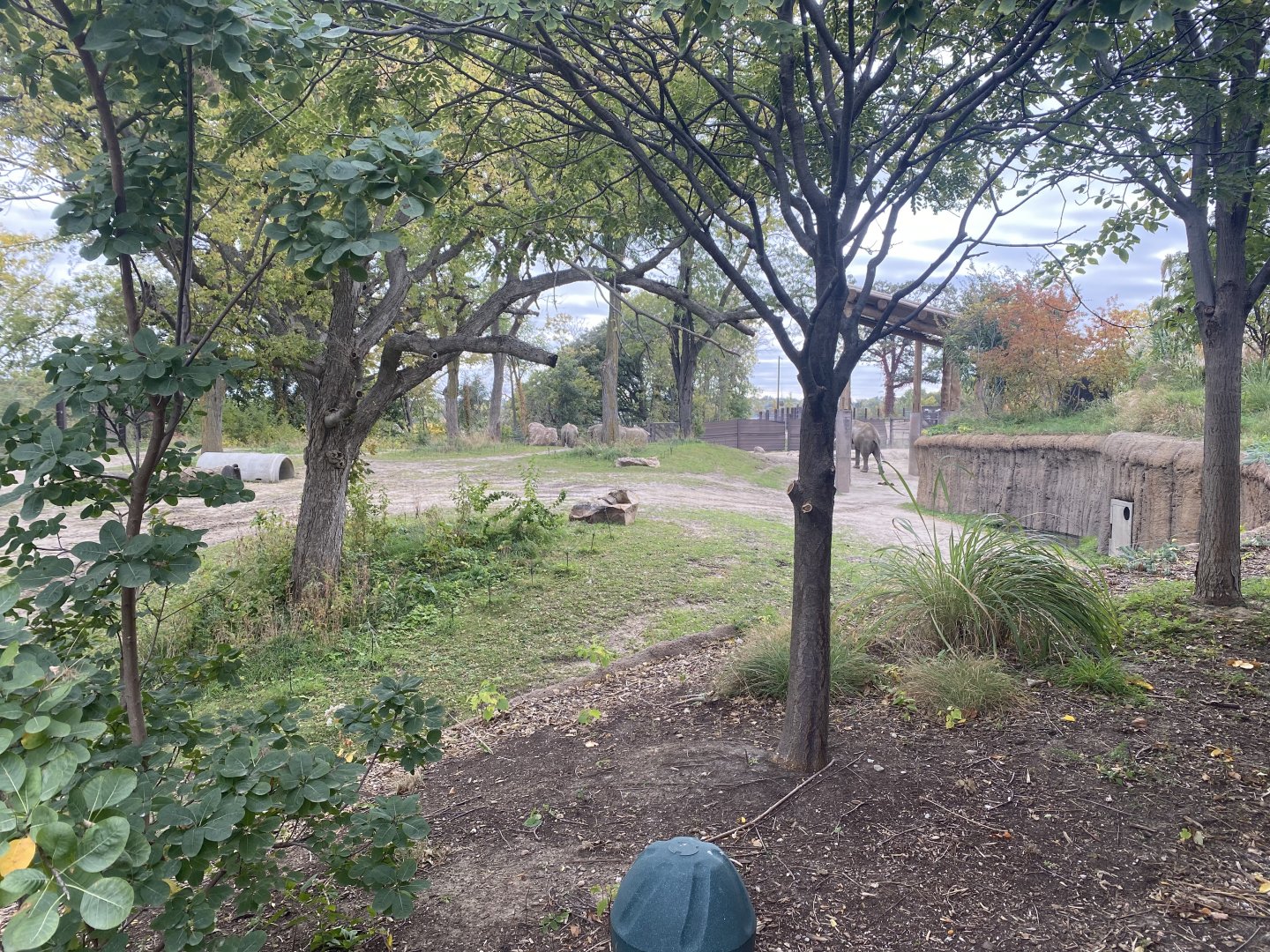 African Grasslands - Grant’s Zebra/African Bush Elephant Exhibit