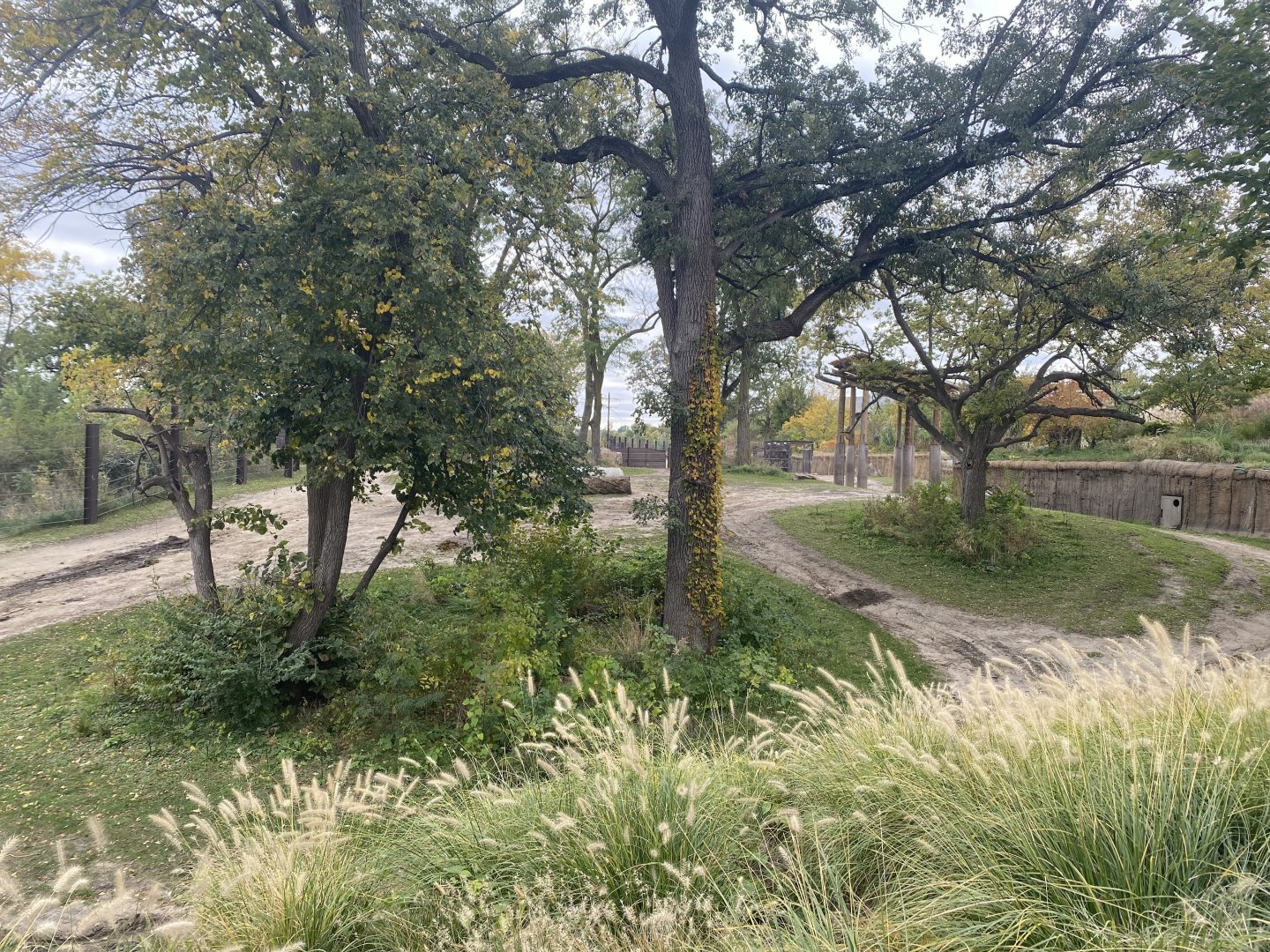 African Grasslands - Grant’s Zebra/African Bush Elephant Exhibit