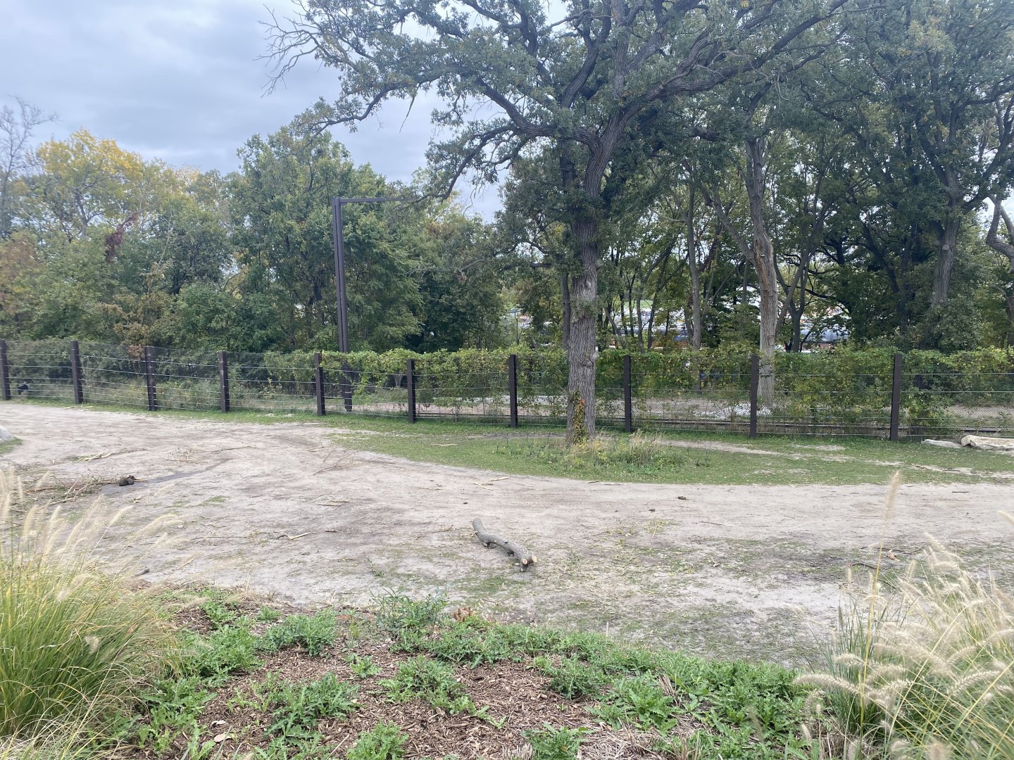 African Grasslands - Grant’s Zebra/African Bush Elephant Exhibit