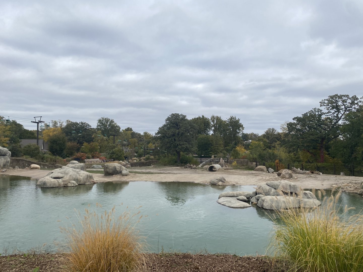 African Grasslands - Grant’s Zebra/African Bush Elephant Exhibit