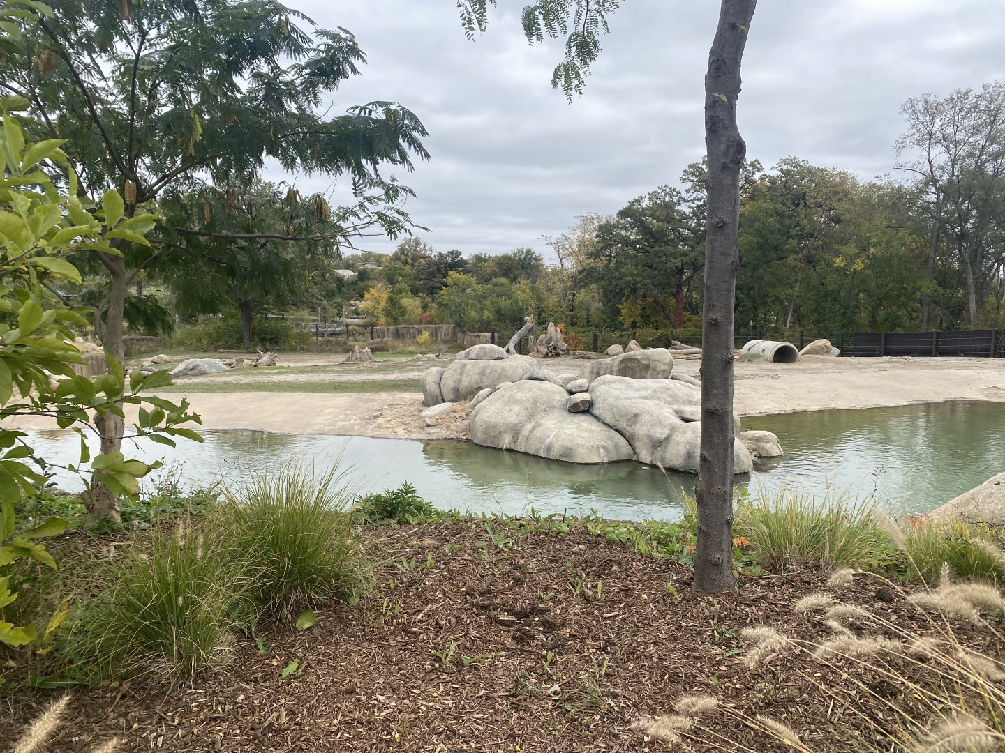 African Grasslands - Grant’s Zebra/African Bush Elephant Exhibit