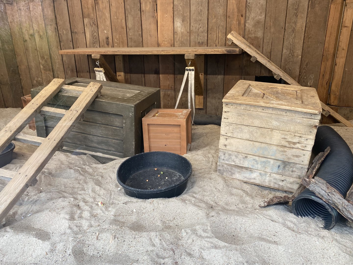 African Grasslands - Indoor Meerkat Exhibit