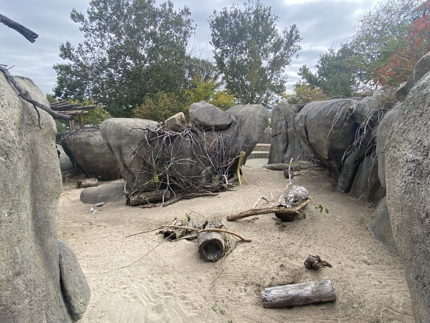 African Grasslands - Klipspringer/Meerkat/Leopard Tortoise Exhibit