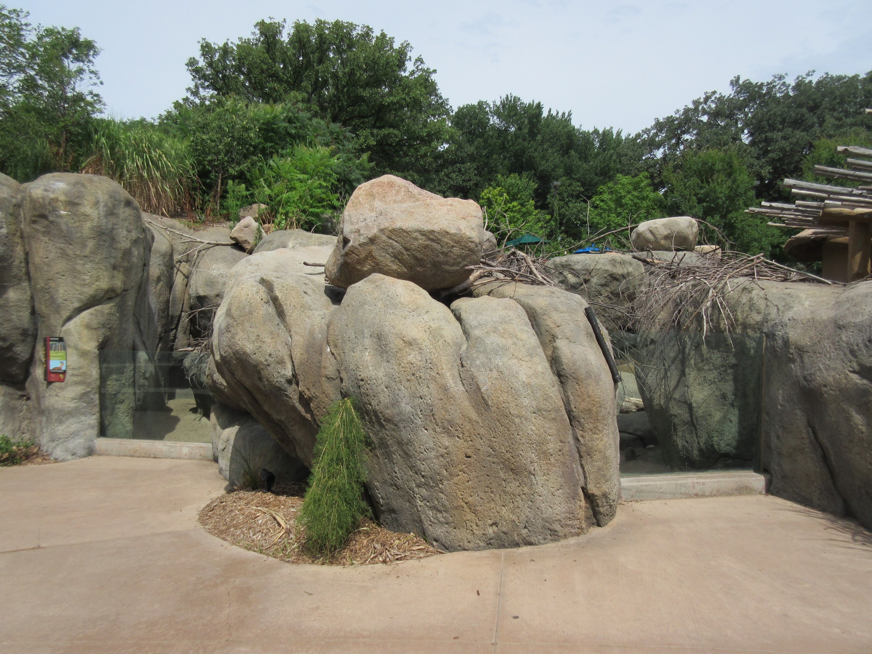 African Grasslands Kopje - Klipspringer/Meerkat Exhibit