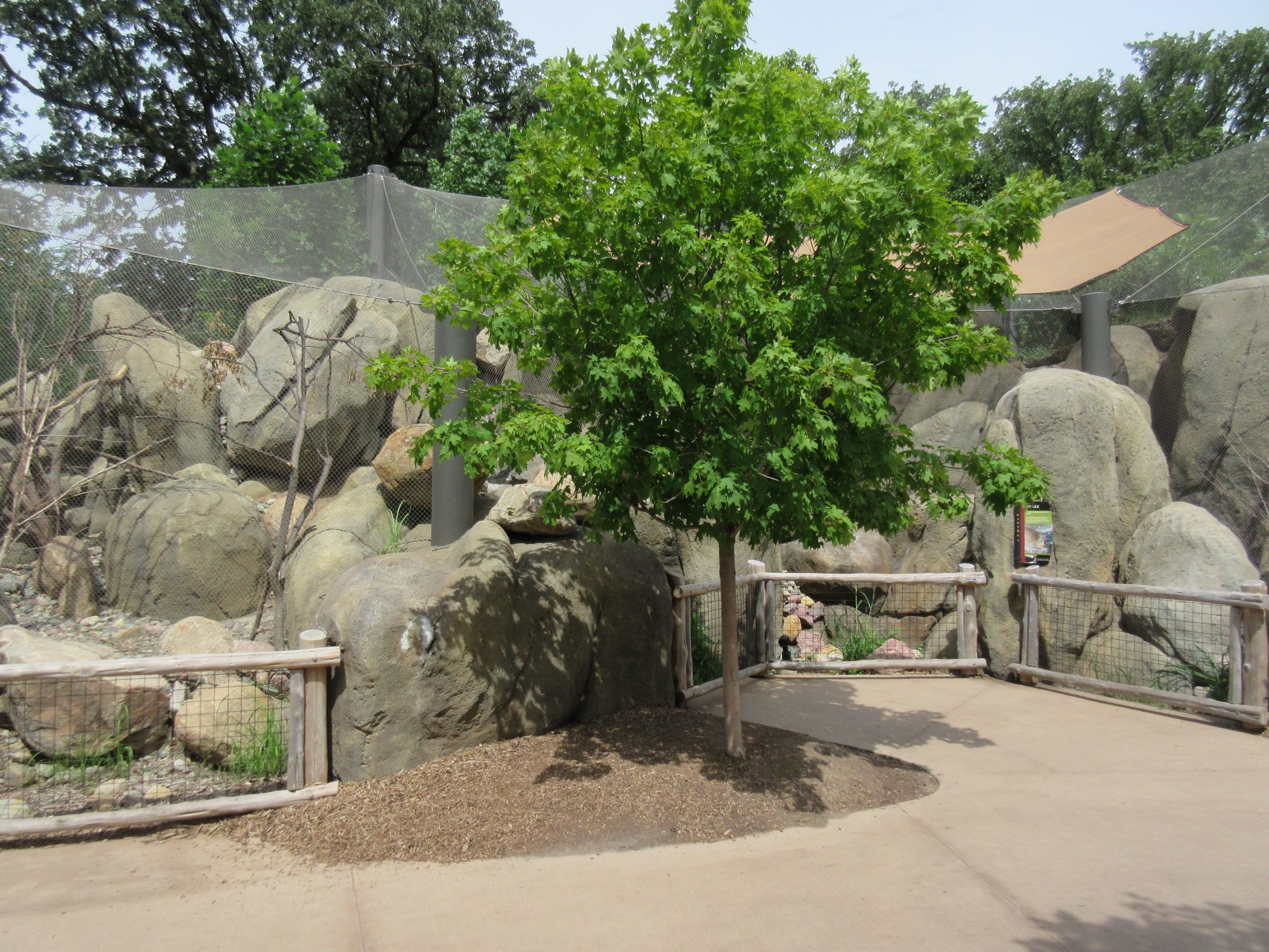 African Grasslands Kopje - Rock Hyrax + White-throated Monitor Exhibits
