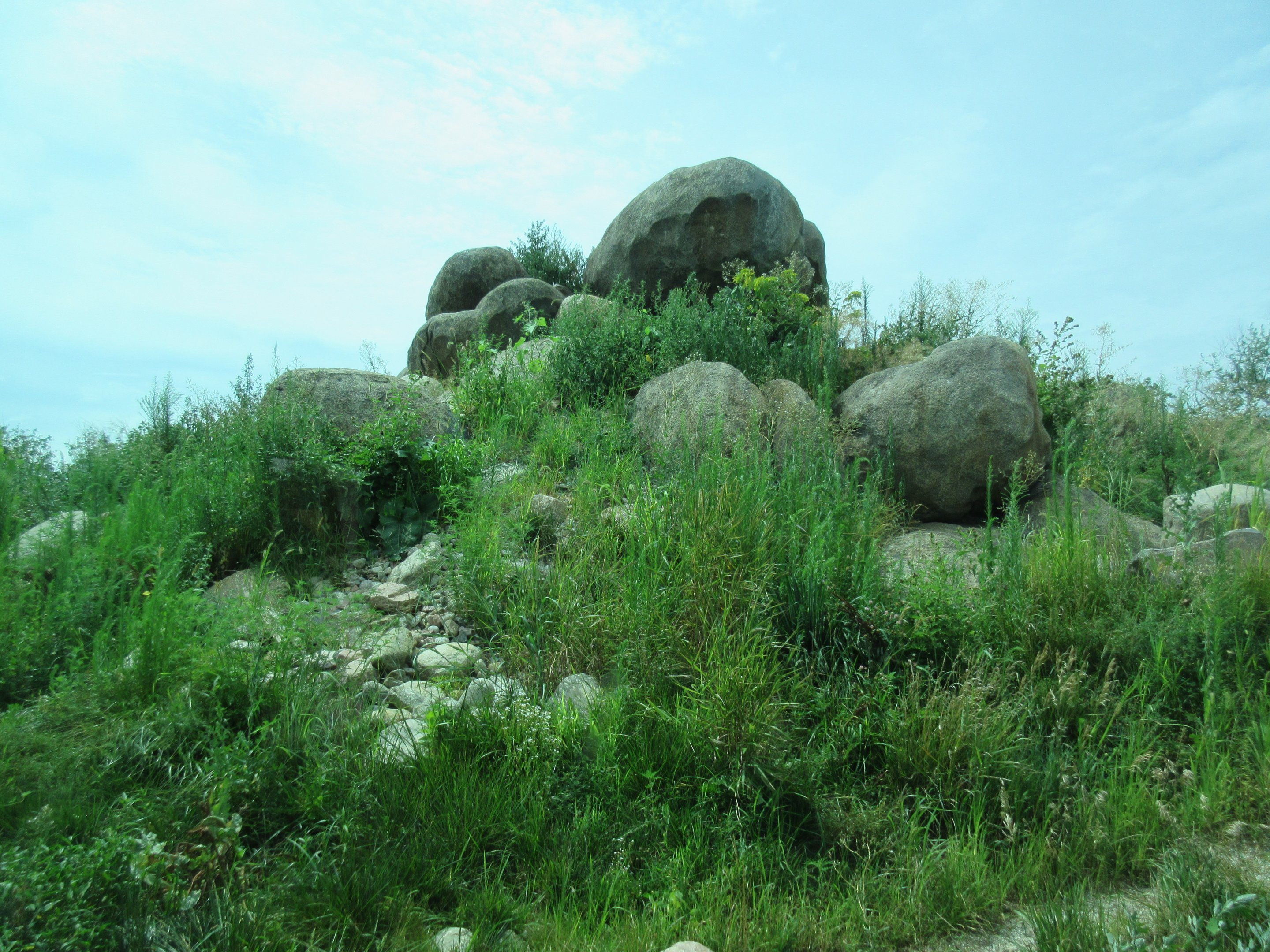 African Grasslands - Lion Exhibit