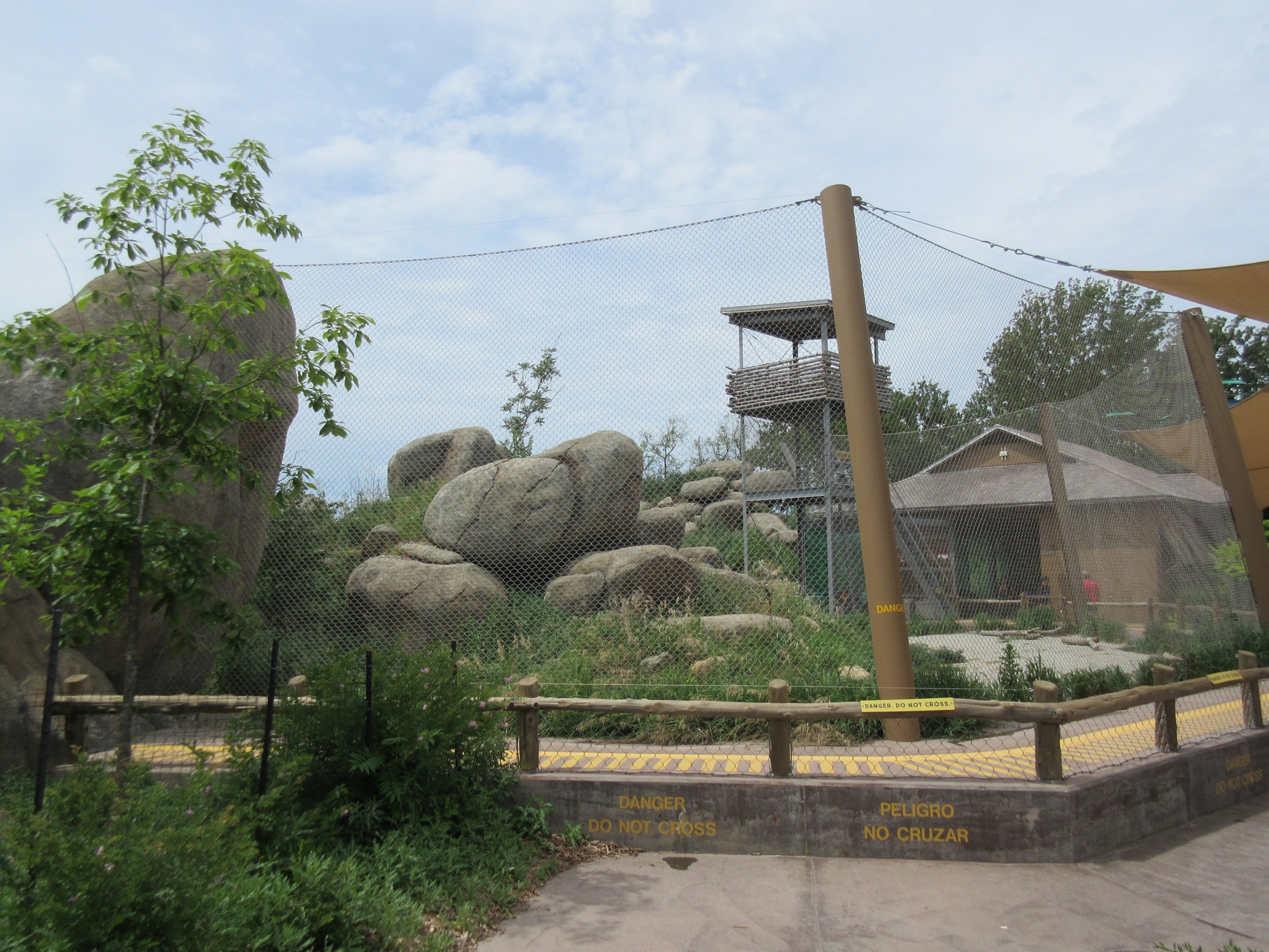 African Grasslands - Lion Exhibit