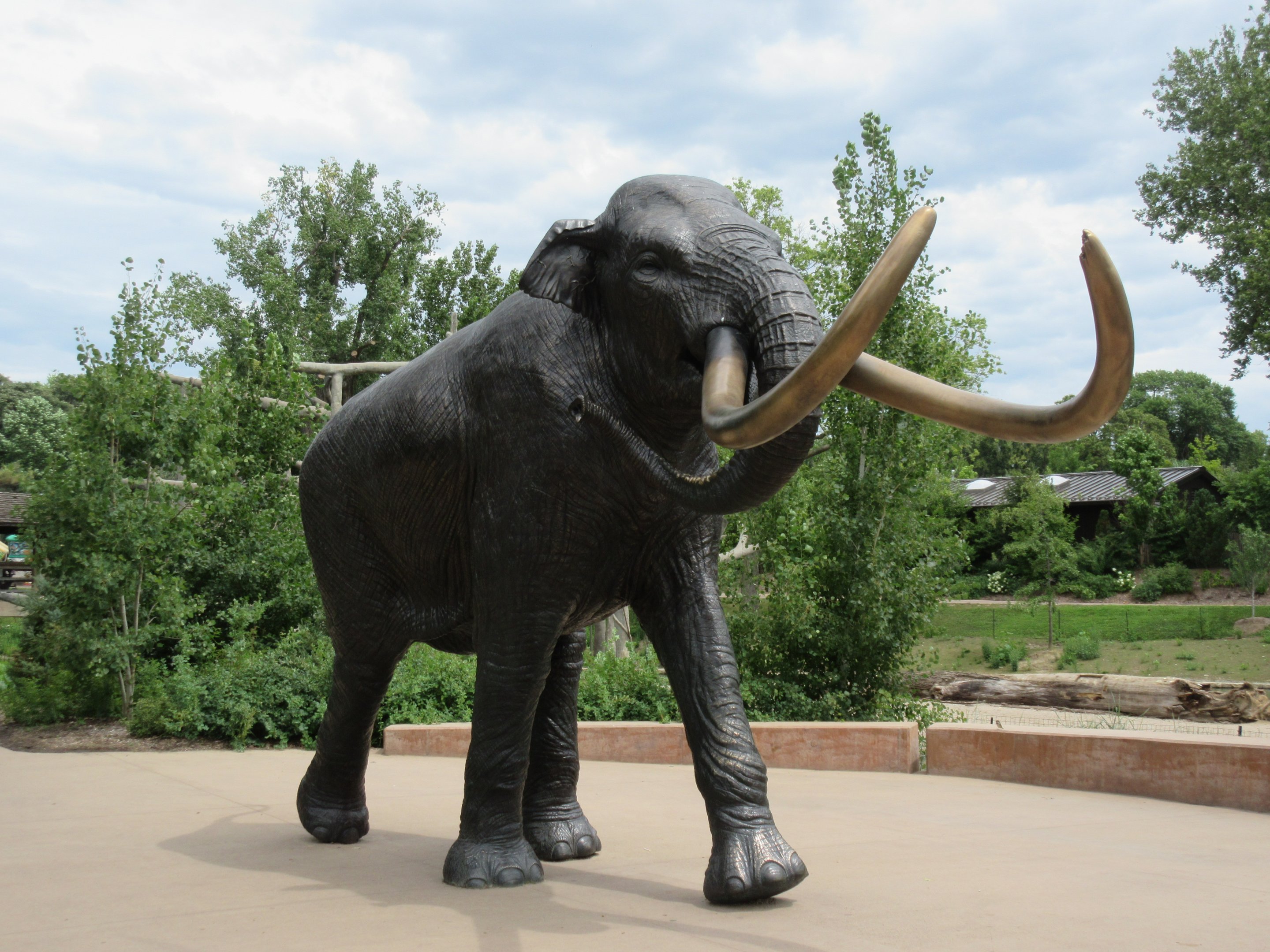 African Grasslands - Mammoth Plaza