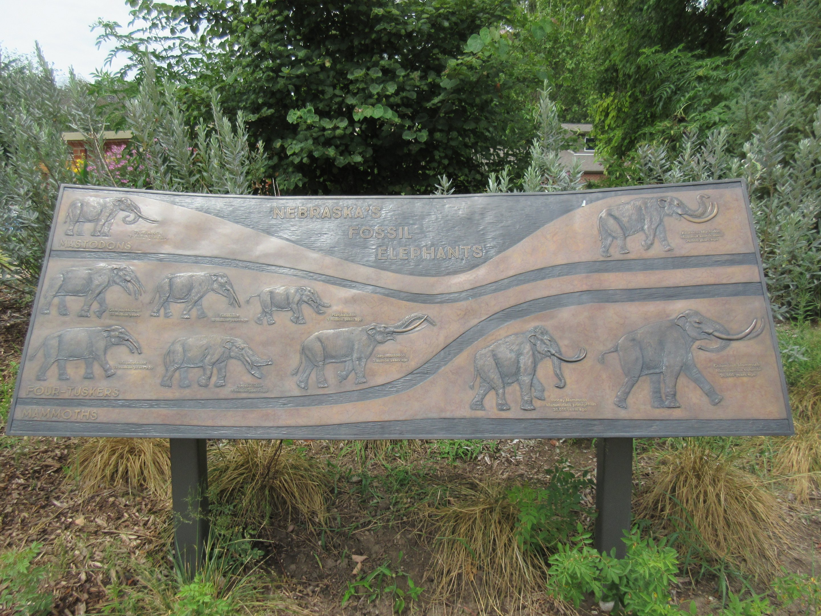 African Grasslands - Mammoth Plaza