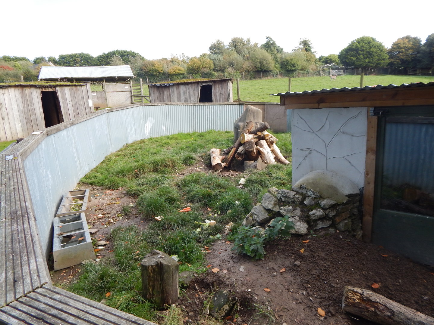 African Grasslands - Meerkat and Crested porcupine exhibit 151022