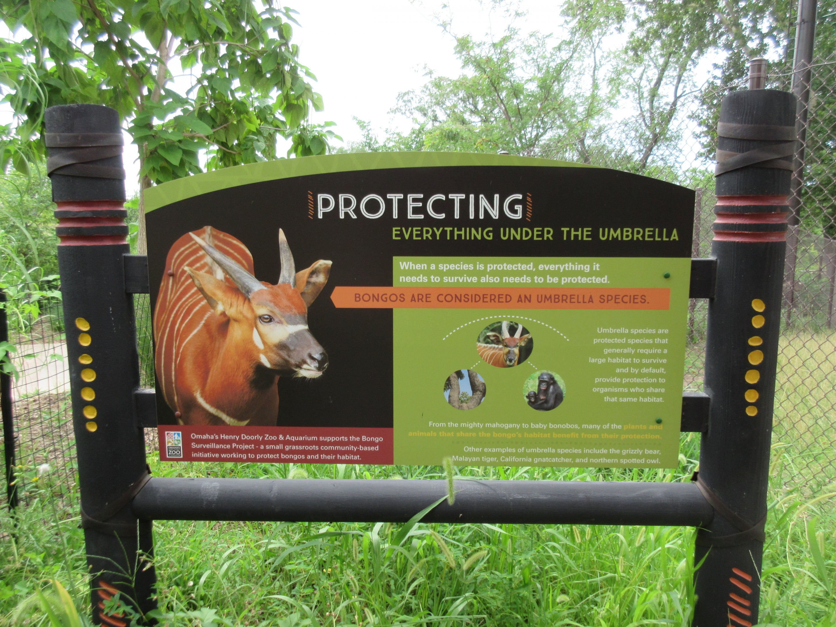 African Grasslands - Multi-Acre Bongo/Blue Crane Exhibit (Sign)