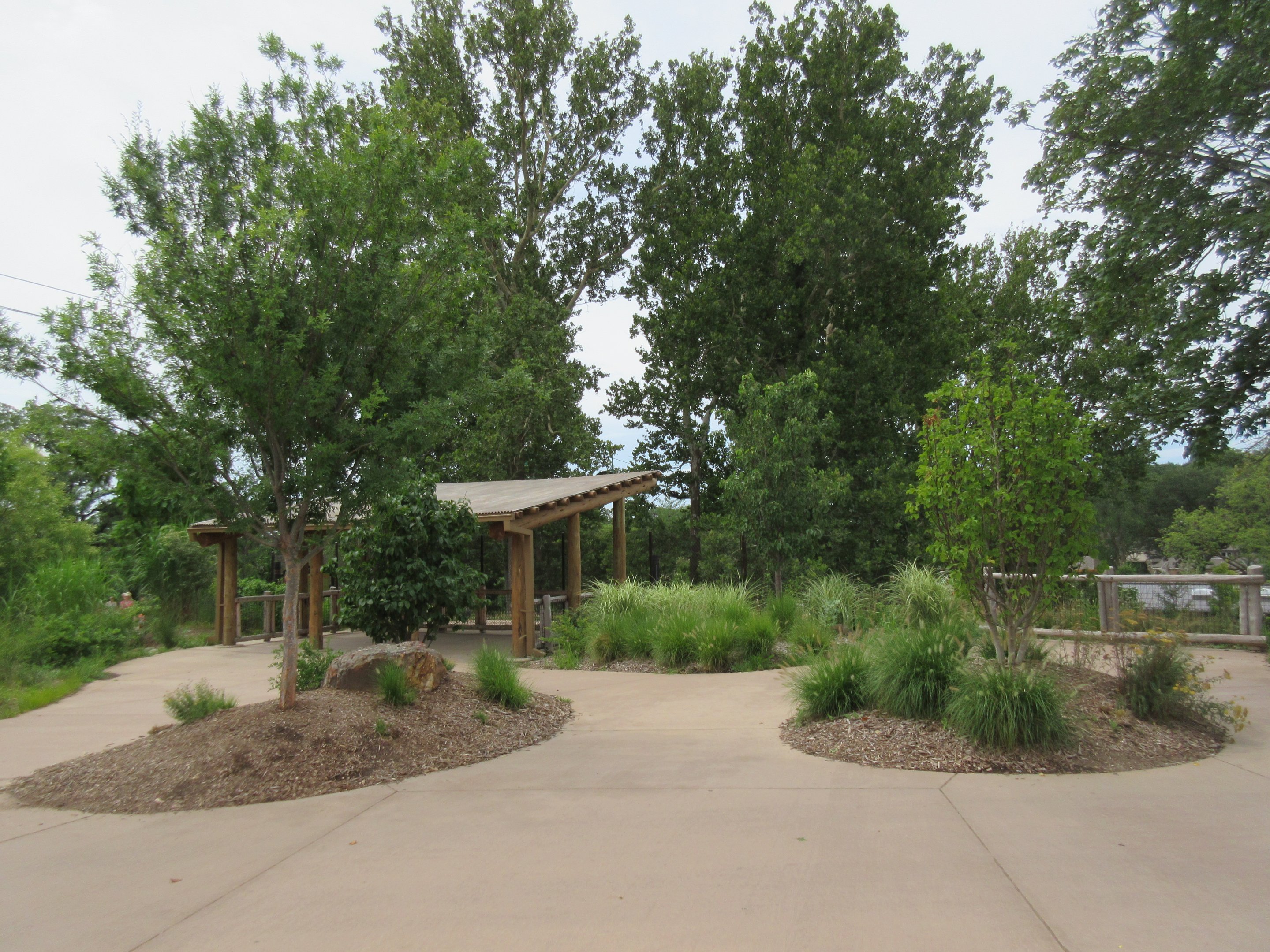 African Grasslands - Multi-Acre Bongo/Blue Crane Exhibit (Viewing Area)