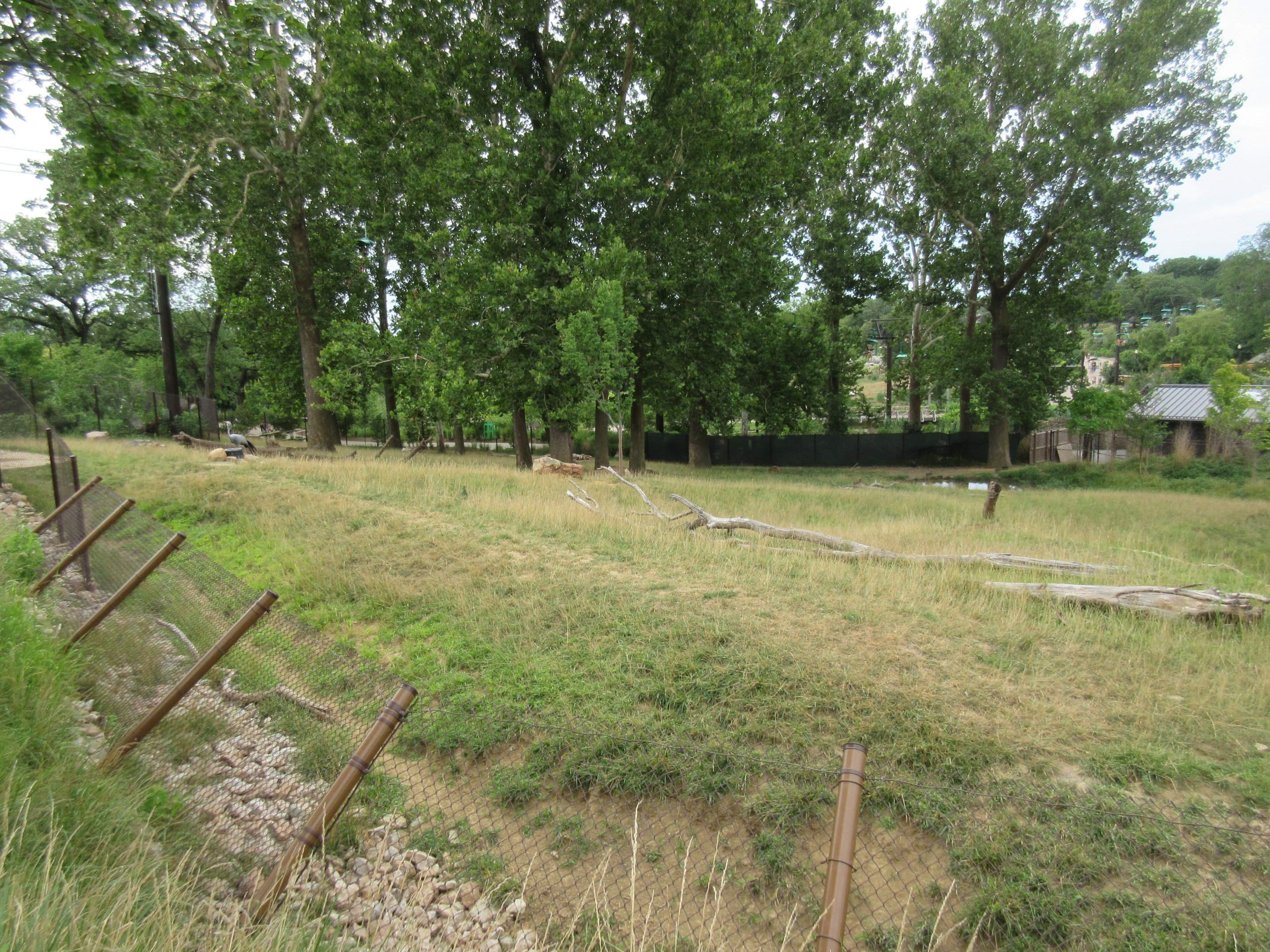 African Grasslands - Multi-Acre Bongo/Blue Crane Exhibit