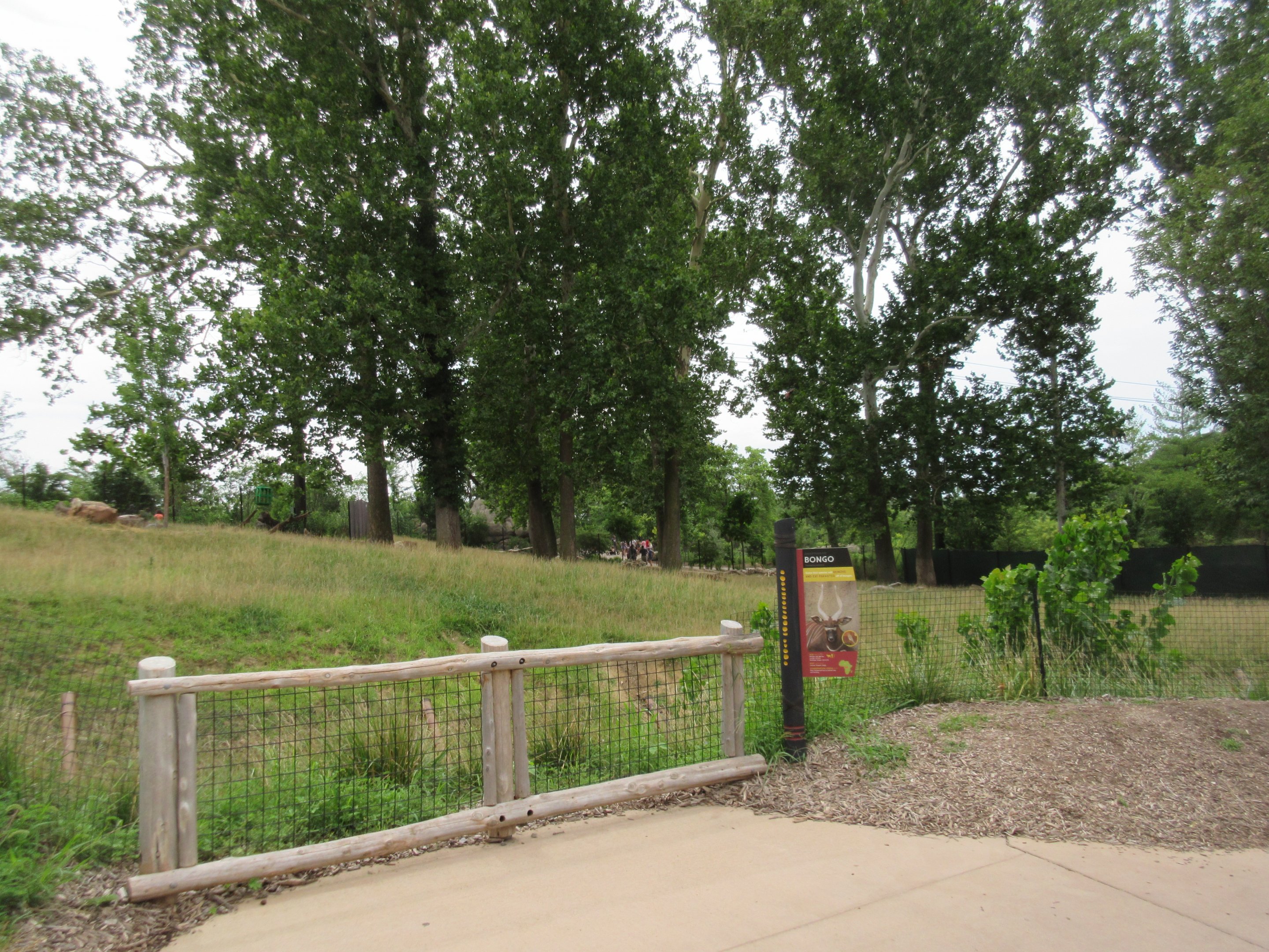 African Grasslands - Multi-Acre Bongo/Blue Crane Exhibit