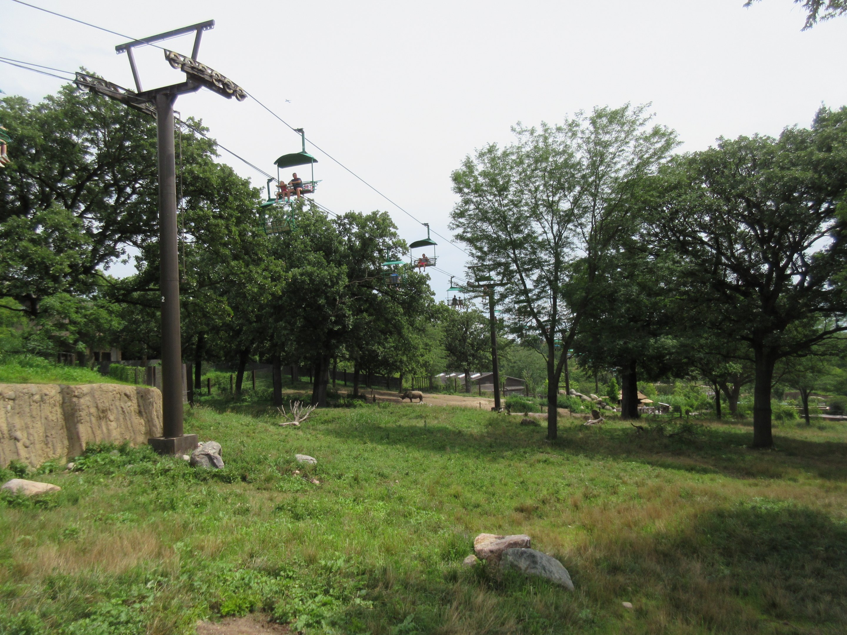 African Grasslands - Multi-Acre Giraffe/Impala/Ostrich/White Stork Savanna