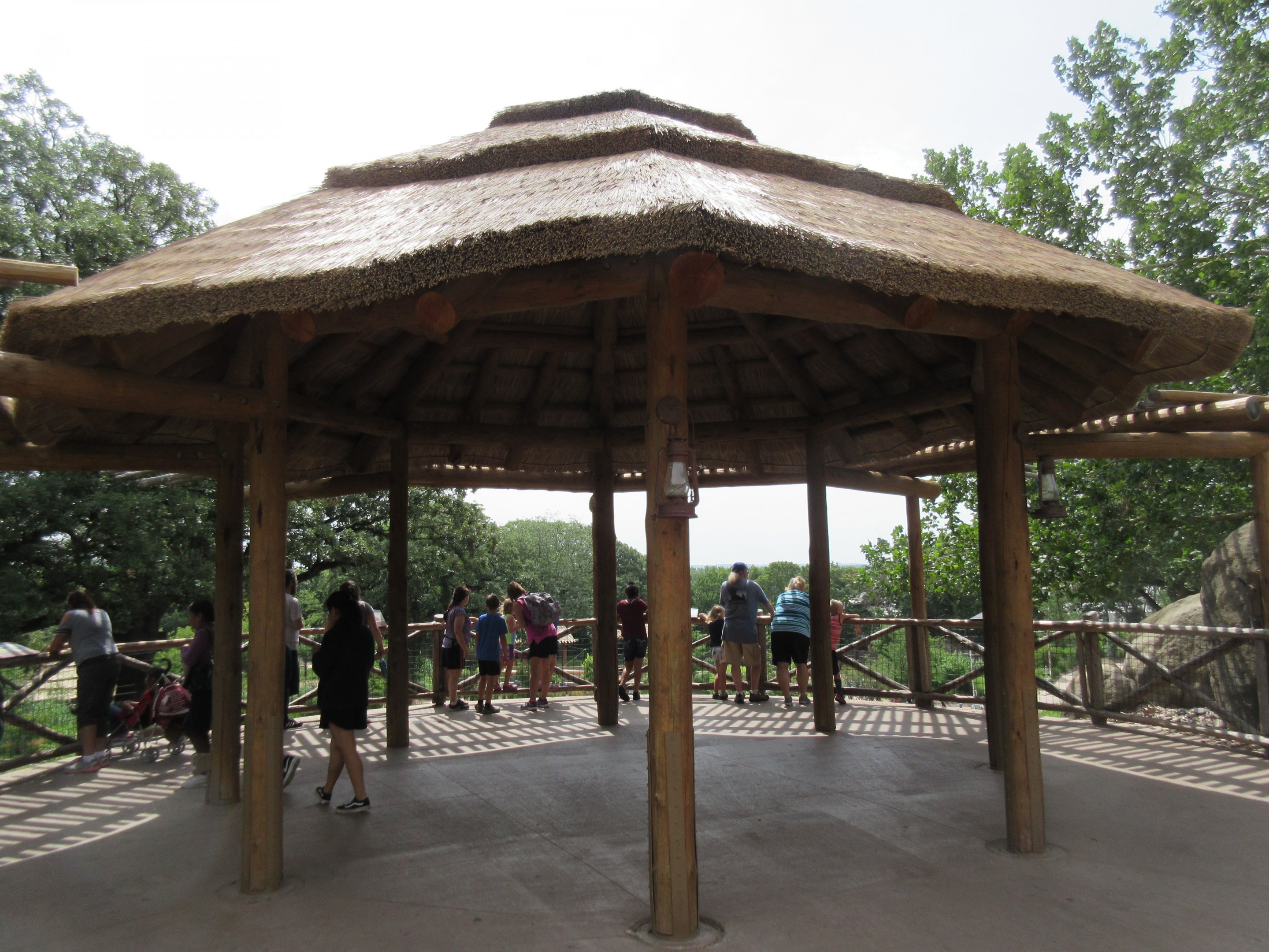 African Grasslands - Multi-Acre Giraffe/Impala/Ostrich/White Stork Savanna